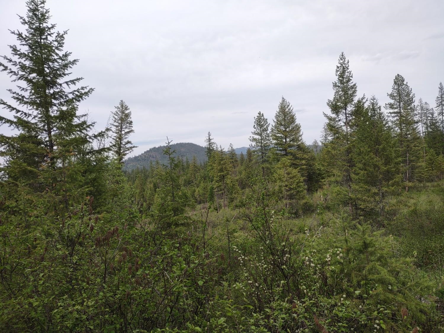 XXX E Jump Off Rd - Photo 7
