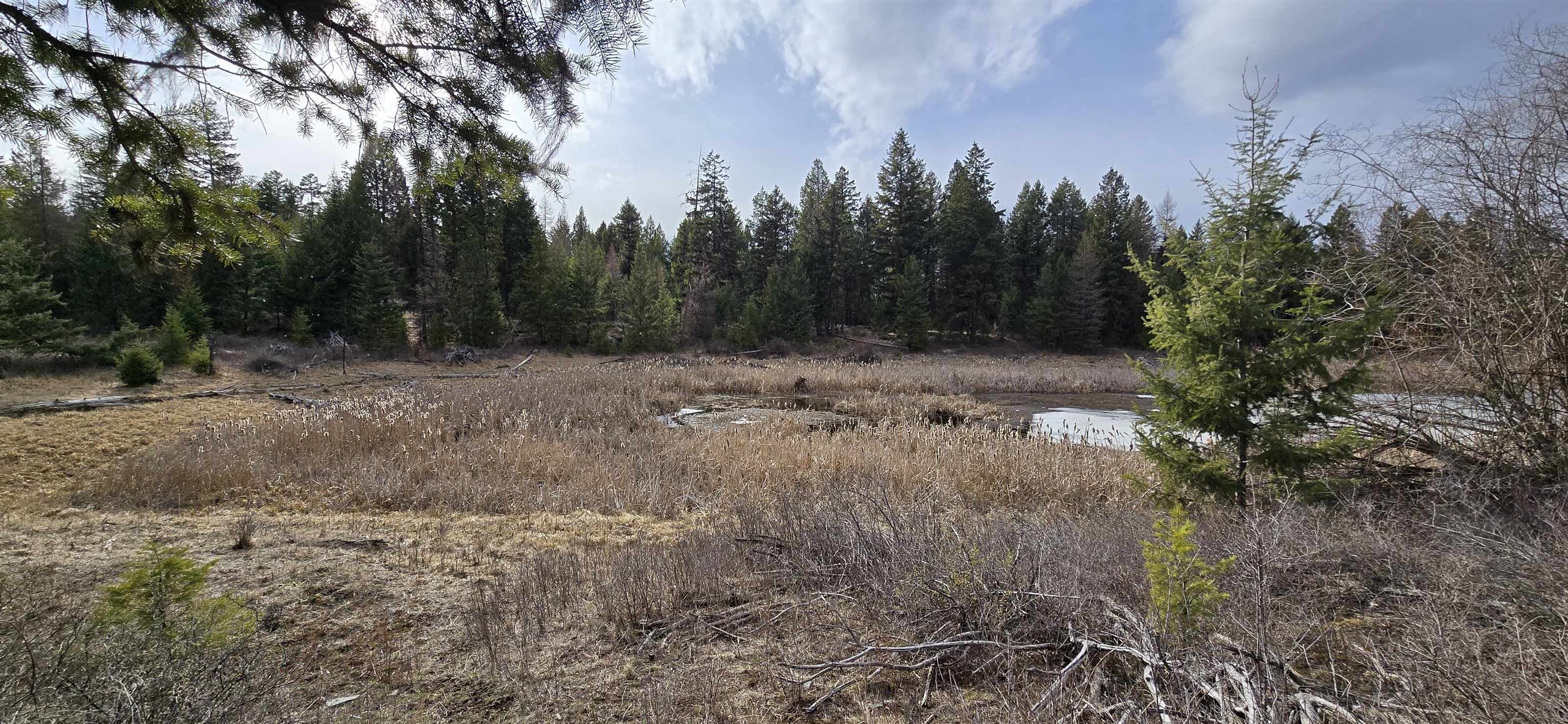 99 Prior Loop Rd - Photo 2
