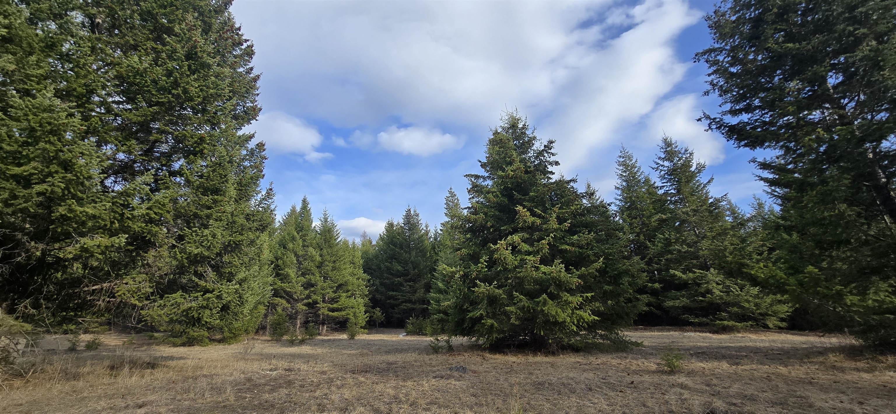 99 Prior Loop Rd - Photo 11