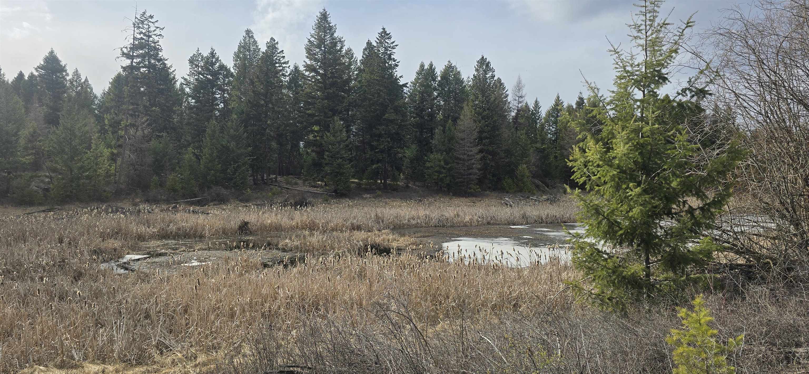 99 Prior Loop Rd - Photo 3