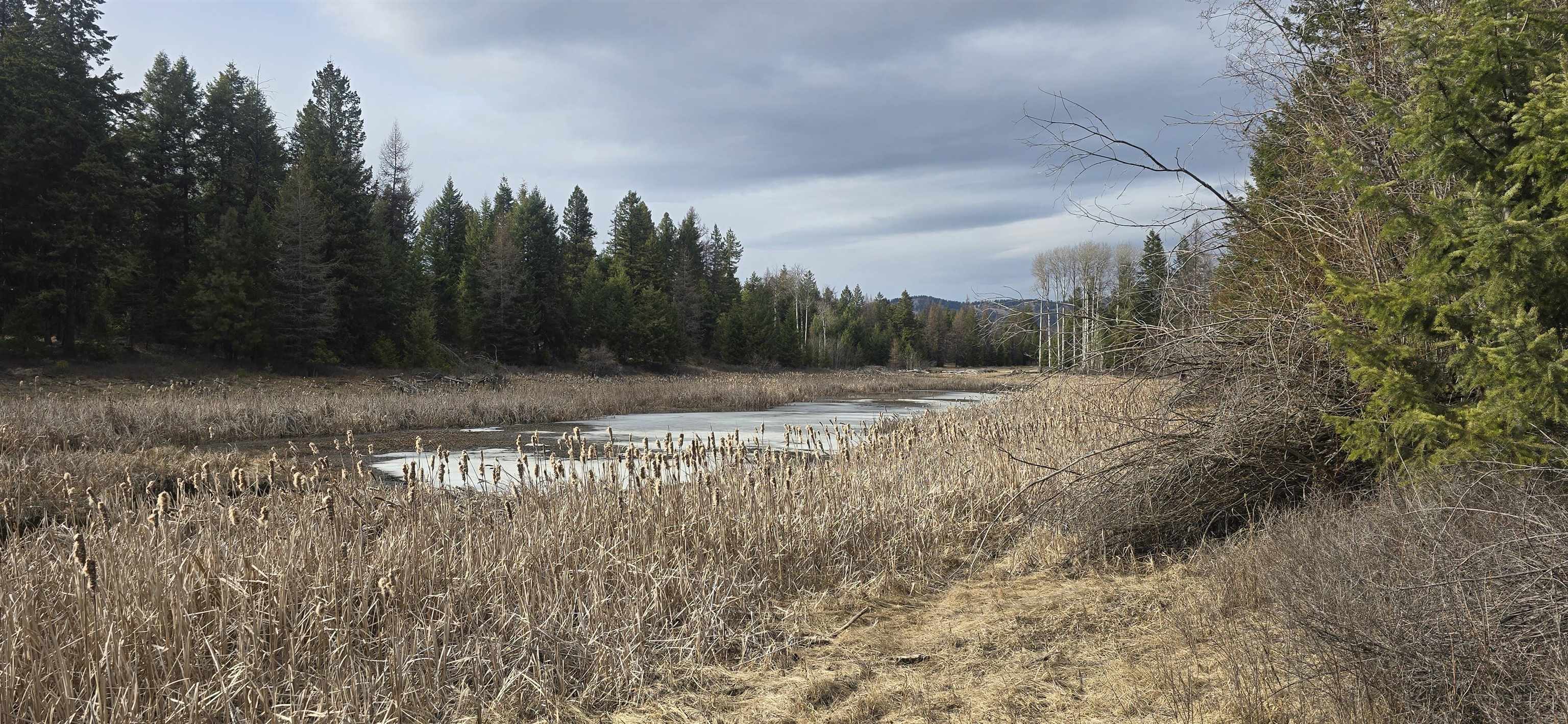 99 Prior Loop Rd - Photo 4