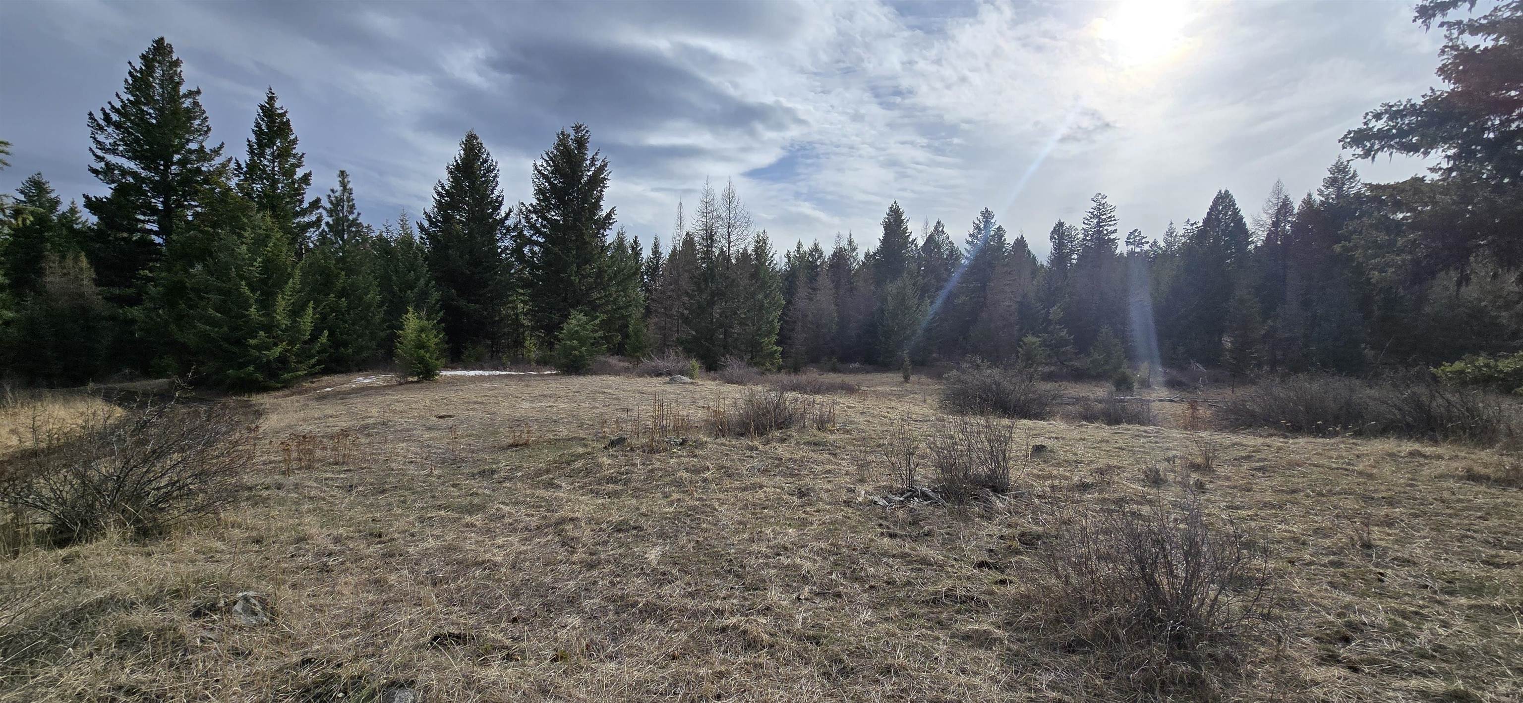 99 Prior Loop Rd - Photo 5