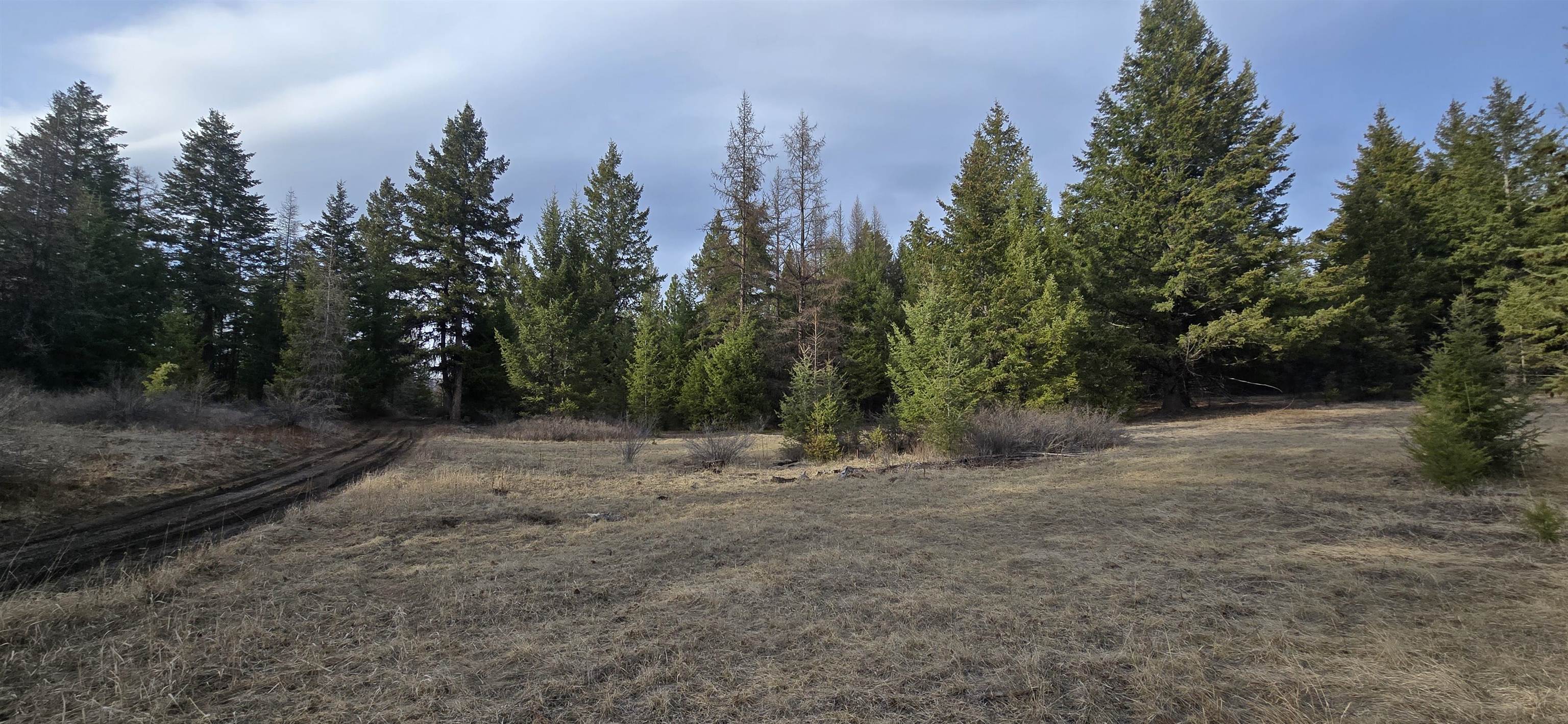 99 Prior Loop Rd - Photo 7