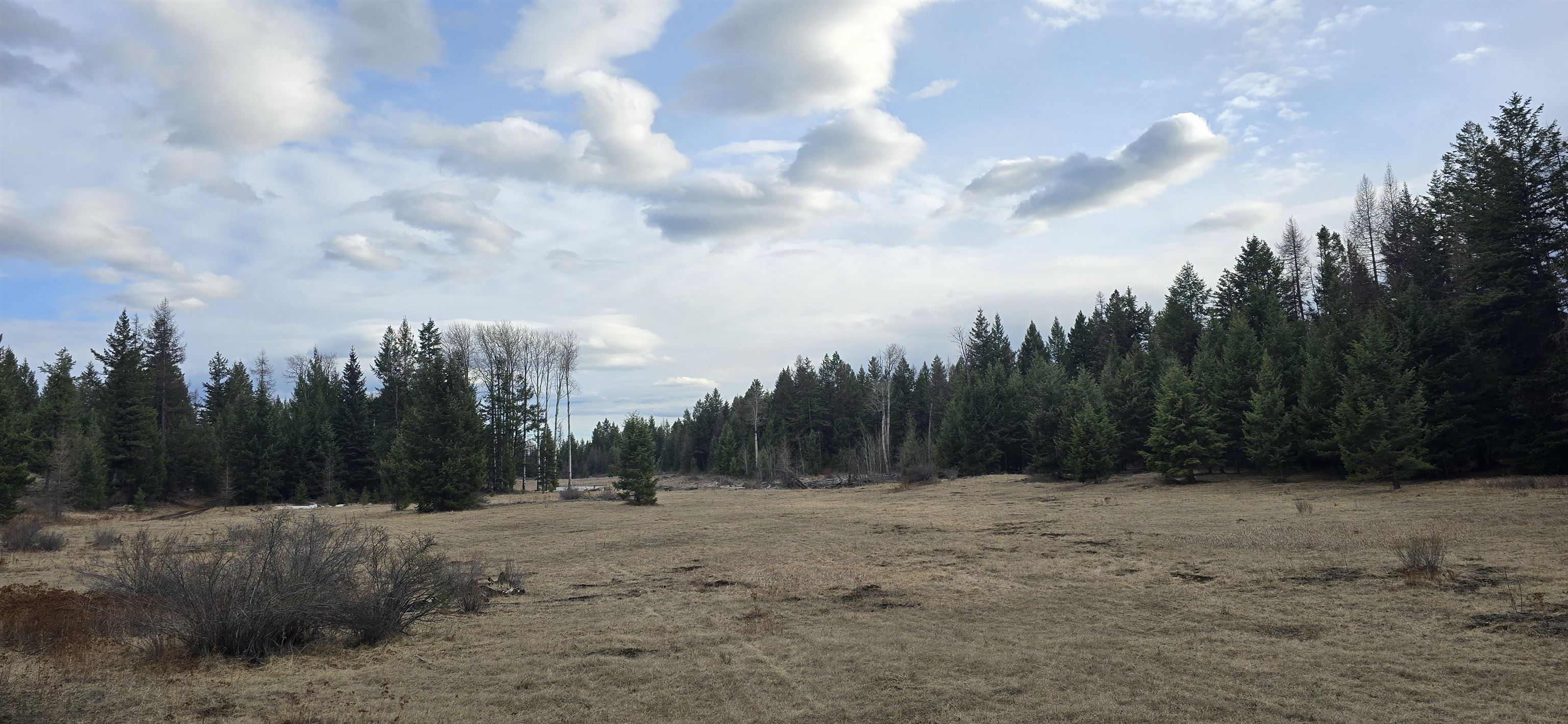 99 Prior Loop Rd - Photo 8