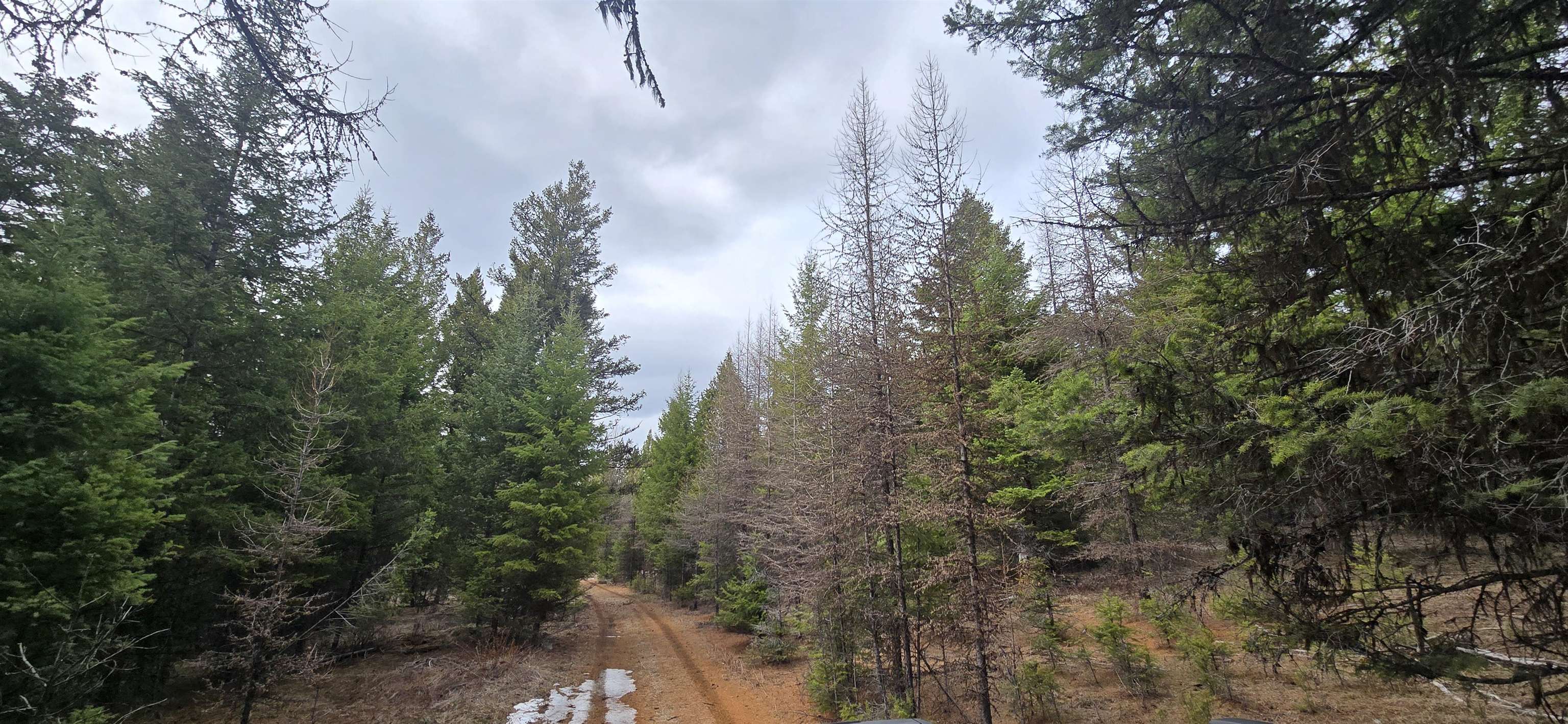99 Prior Loop Rd - Photo 9