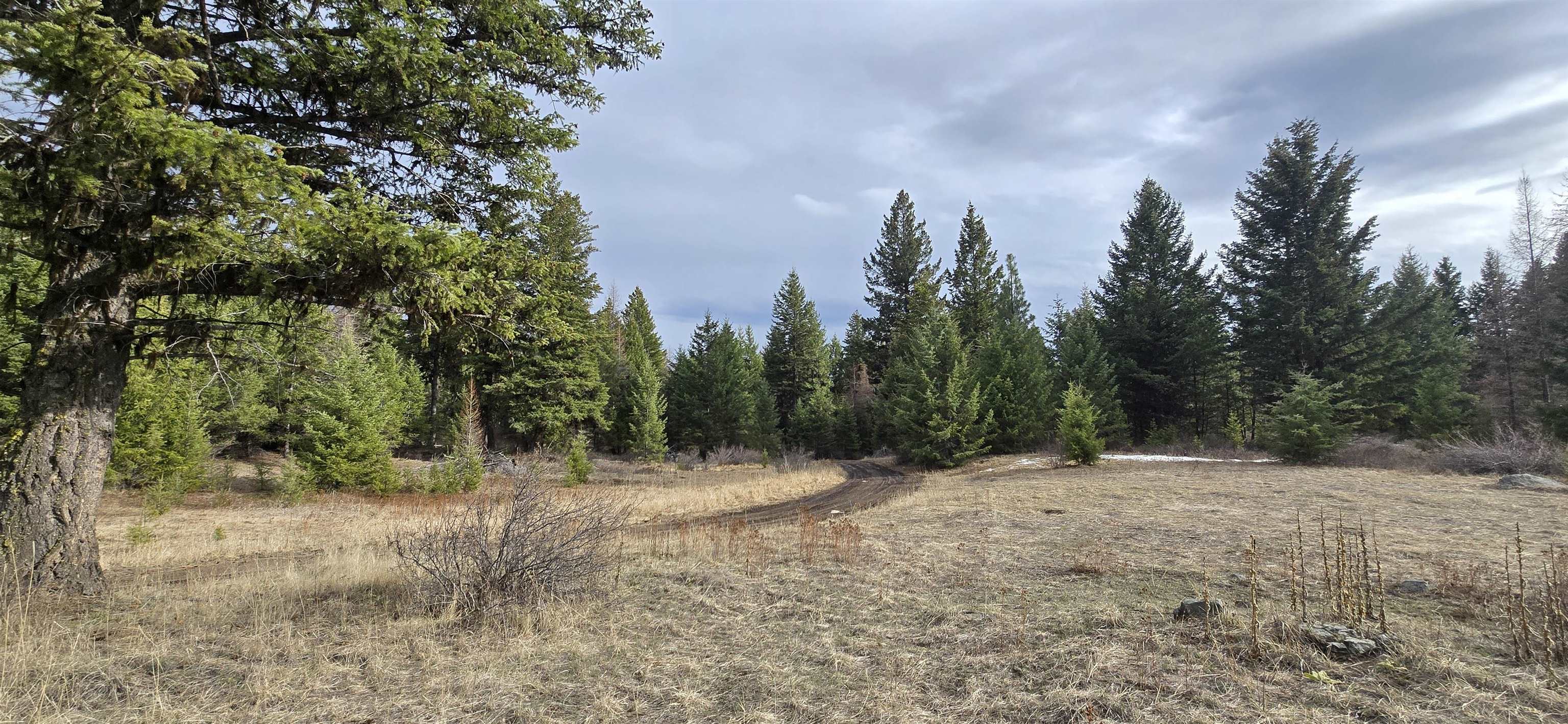 99 Prior Loop Rd - Photo 10