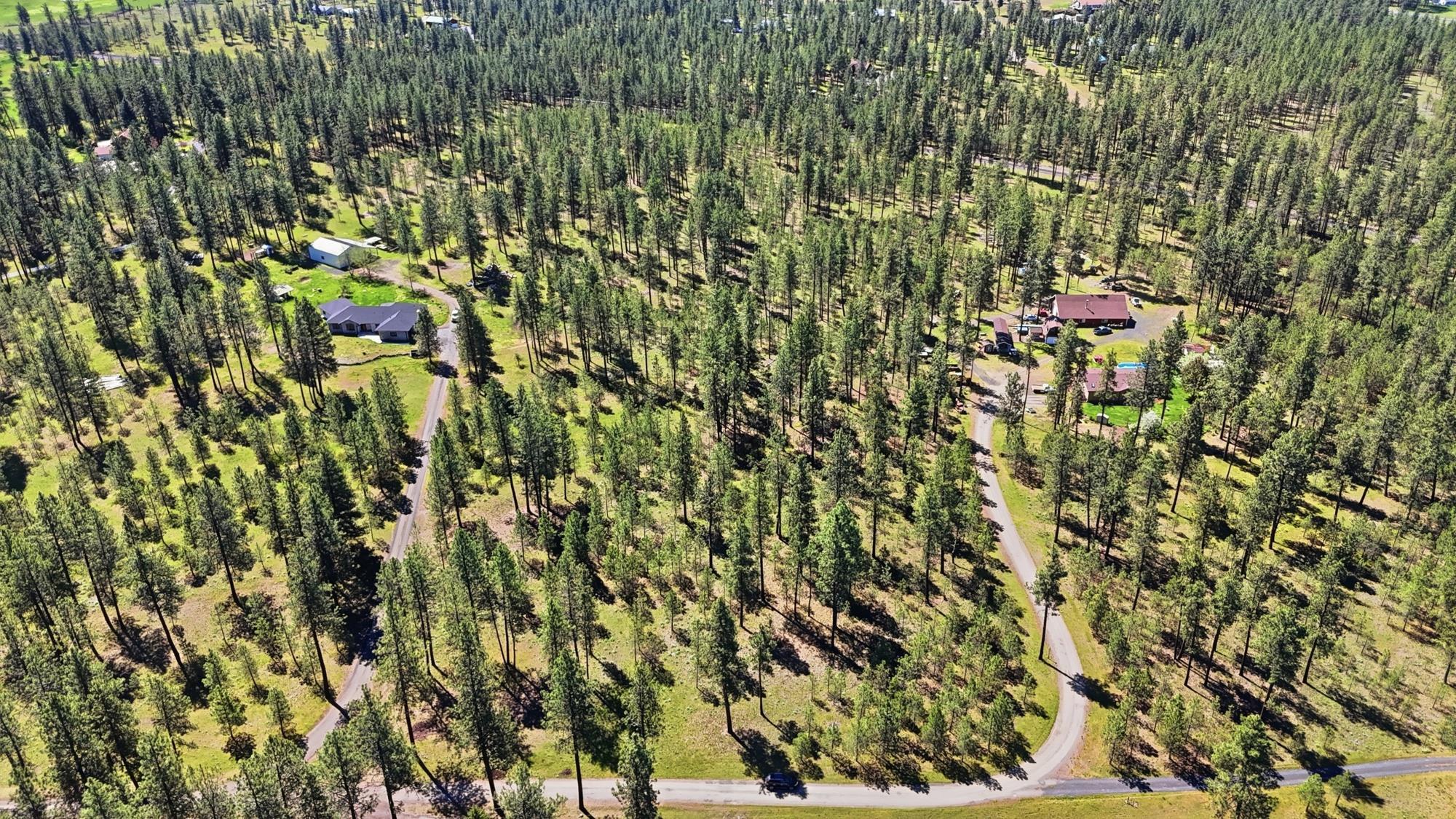 2205 W Dynamite Ln - Photo 1