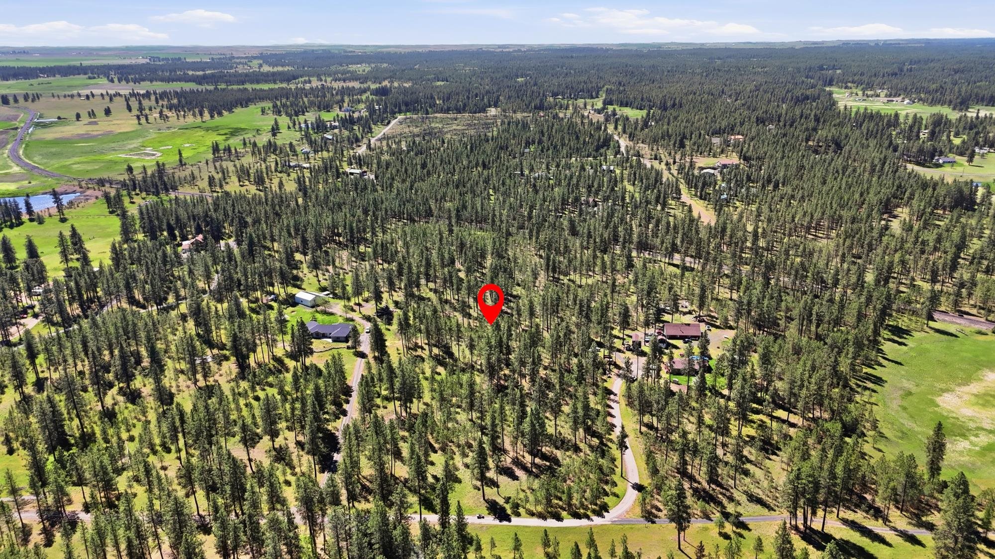 2205 W Dynamite Ln - Photo 12