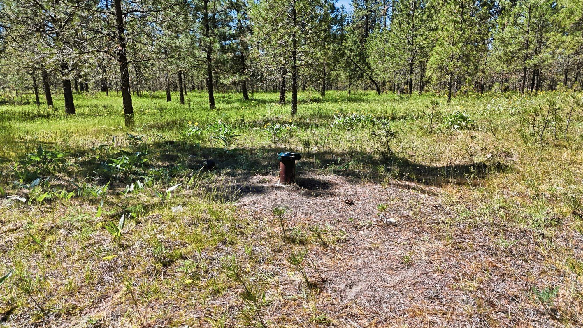 2205 W Dynamite Ln - Photo 19