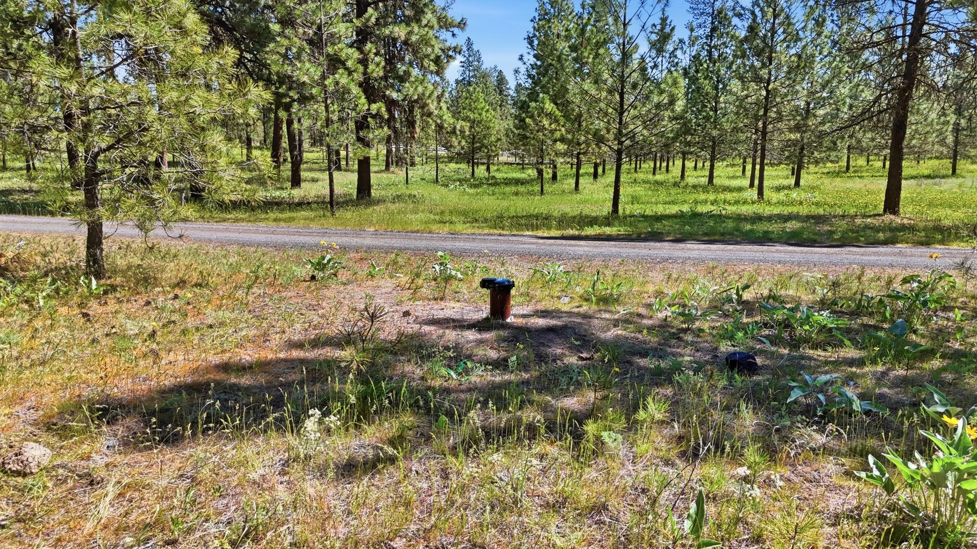 2205 W Dynamite Ln - Photo 20
