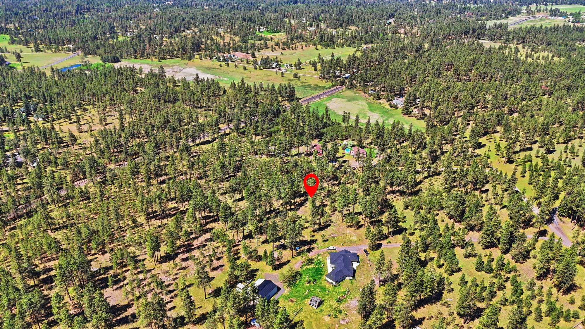 2205 W Dynamite Ln - Photo 5