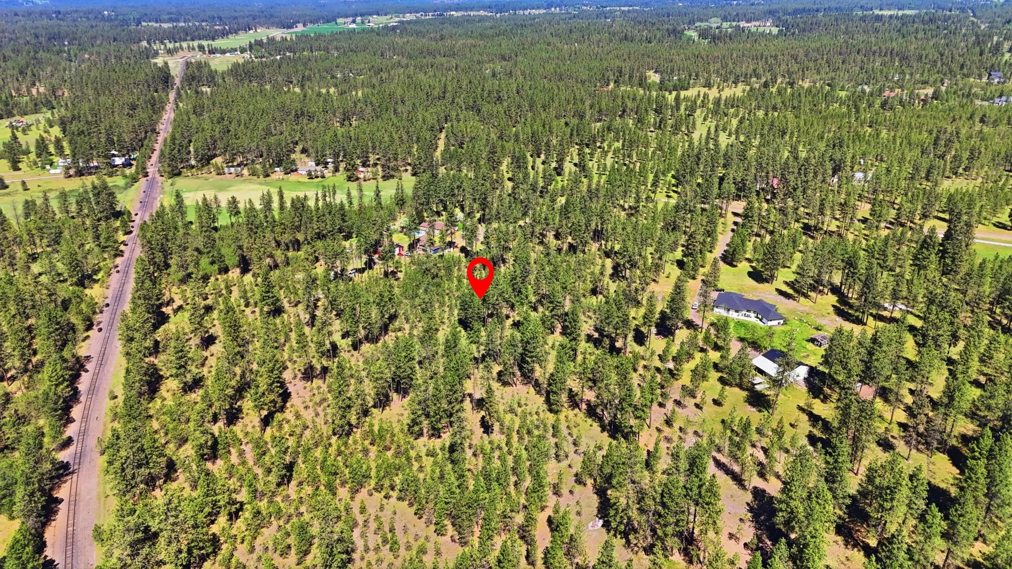 2205 W Dynamite Ln - Photo 6