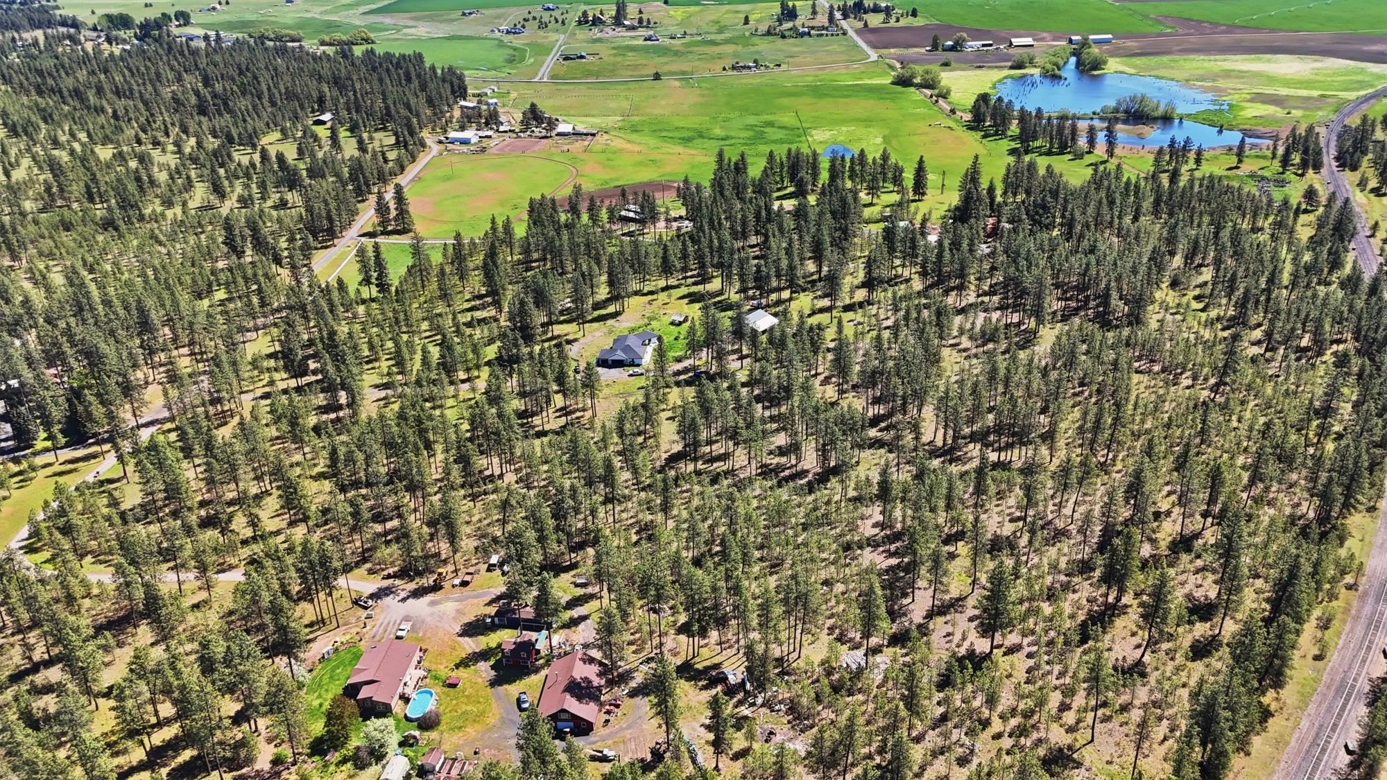 2205 W Dynamite Ln - Photo 8