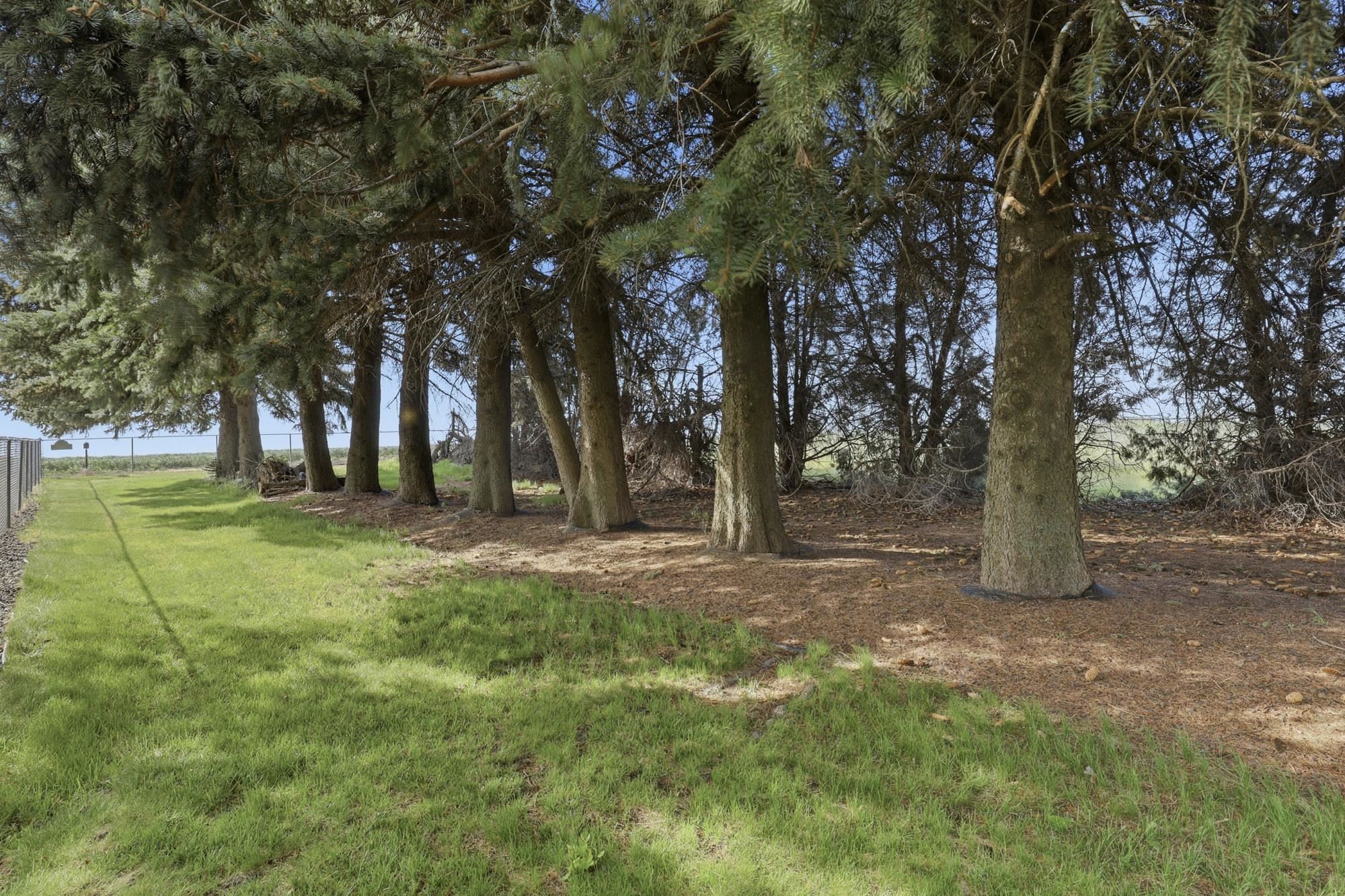 8634 State Route 231N Rd - Photo 42
