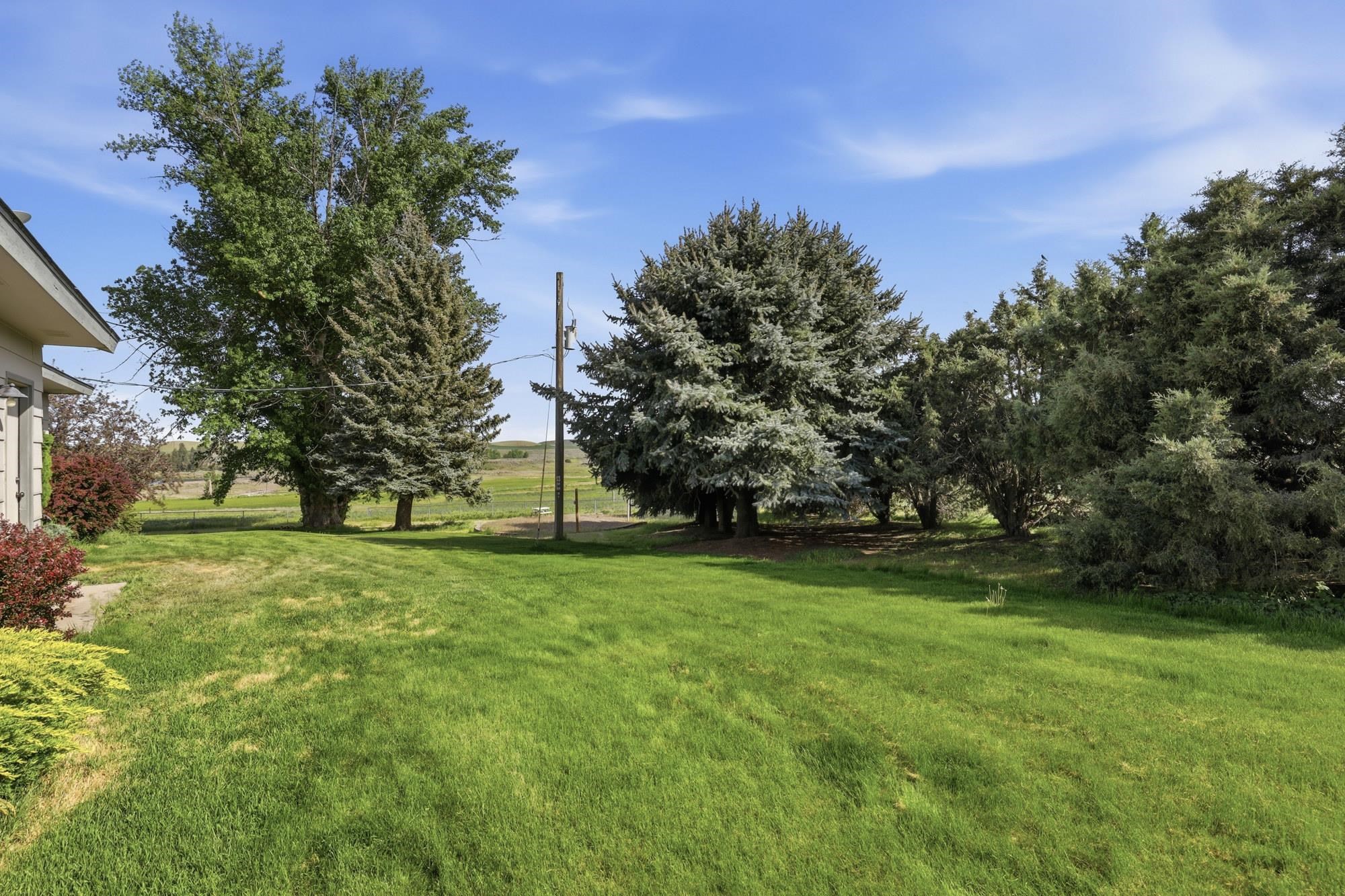 8634 State Route 231N Rd - Photo 47