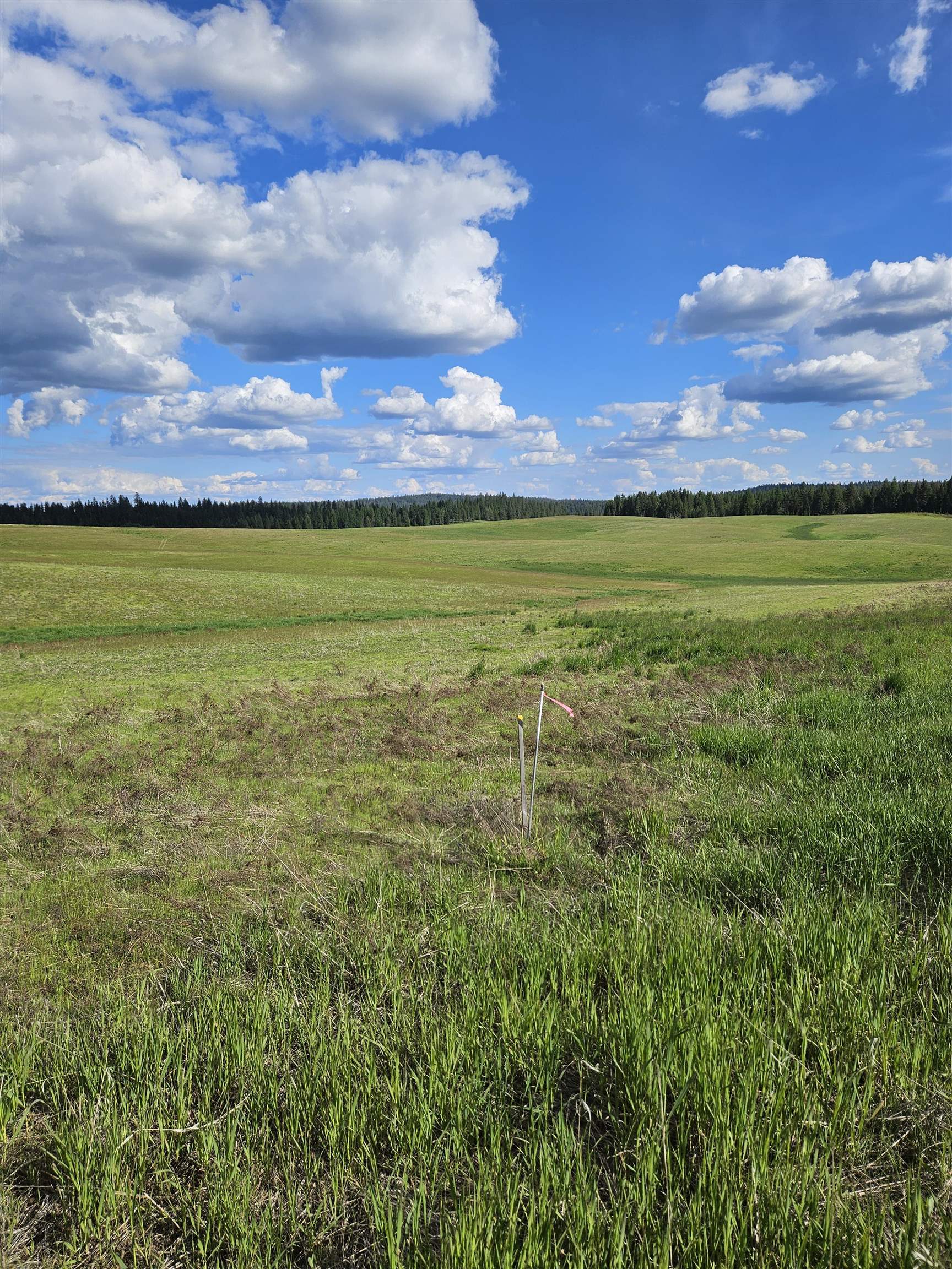 52XX Wagner Lot A Rd - Photo 9
