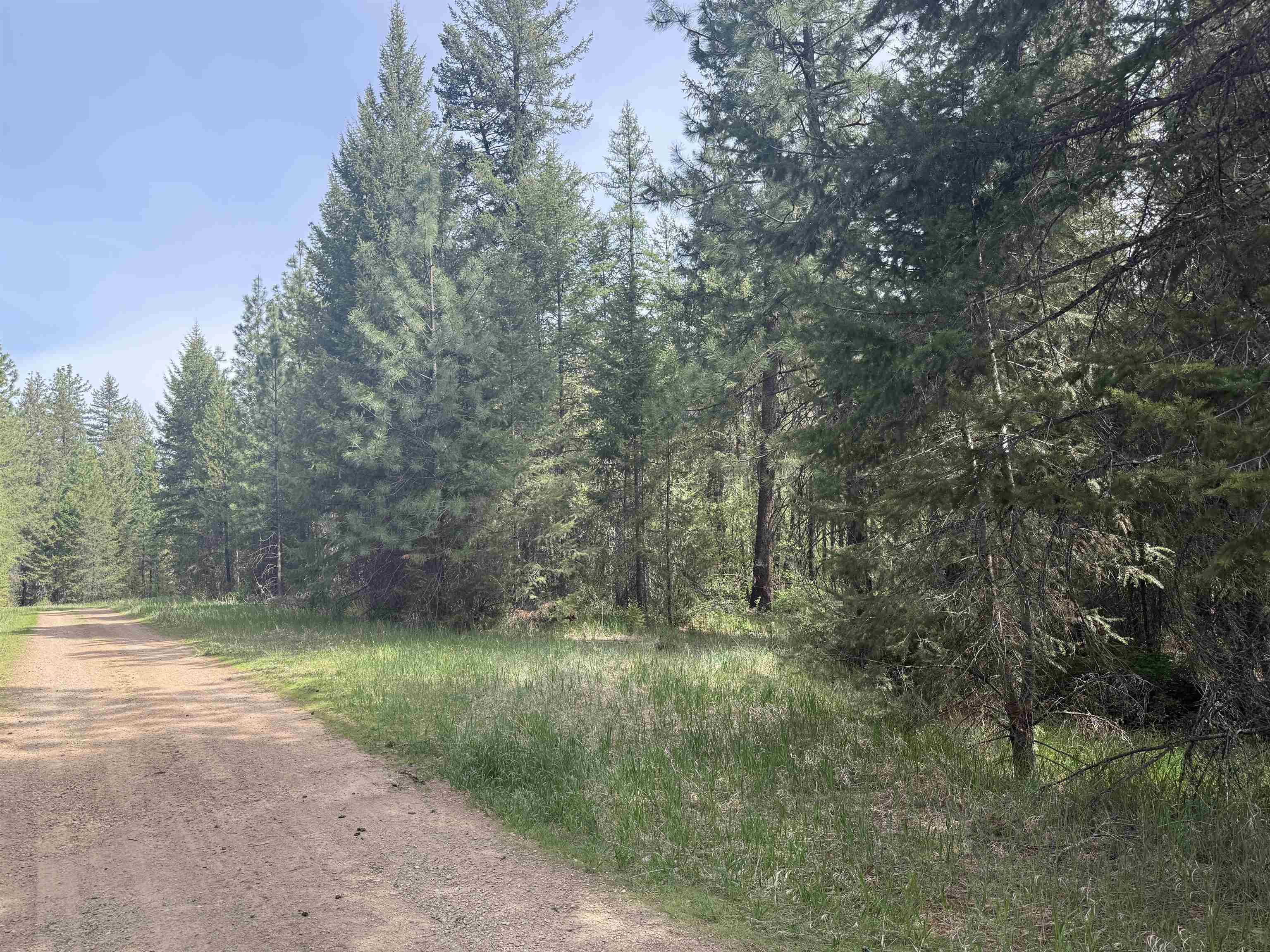 67 First Thought Loop - Photo 1