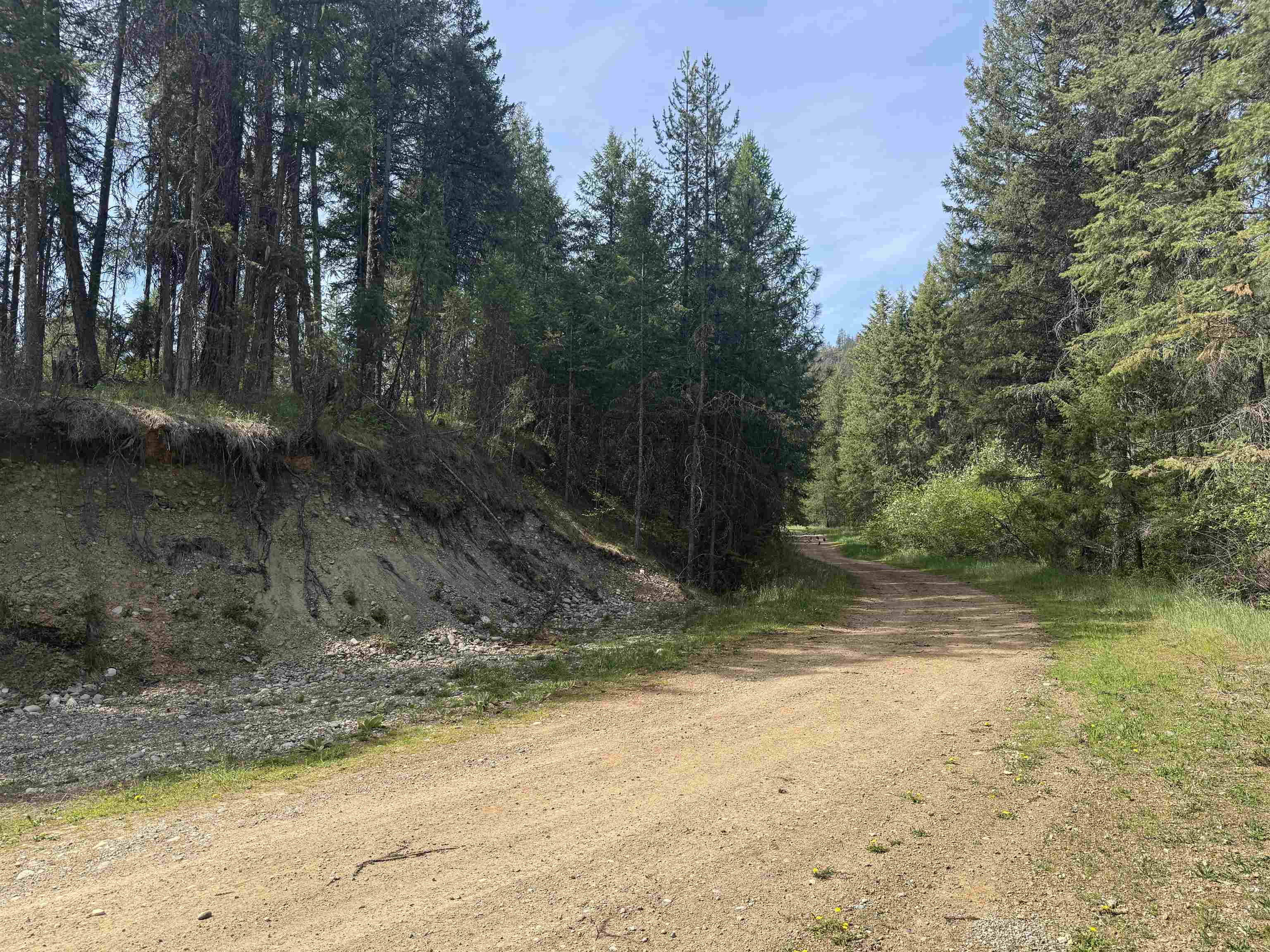 67 First Thought Loop - Photo 12