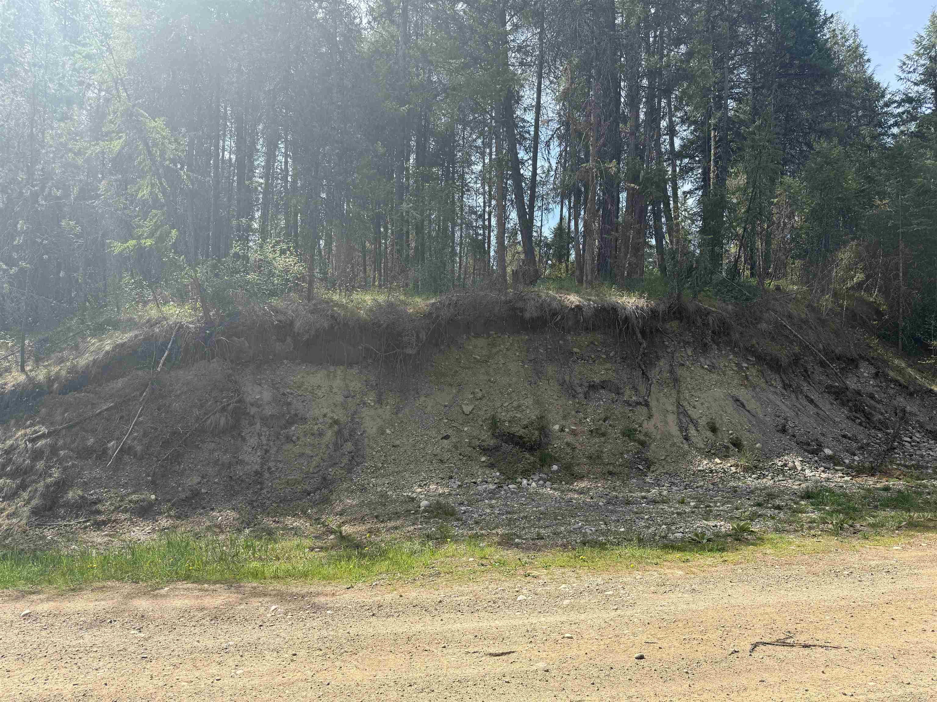 67 First Thought Loop - Photo 14