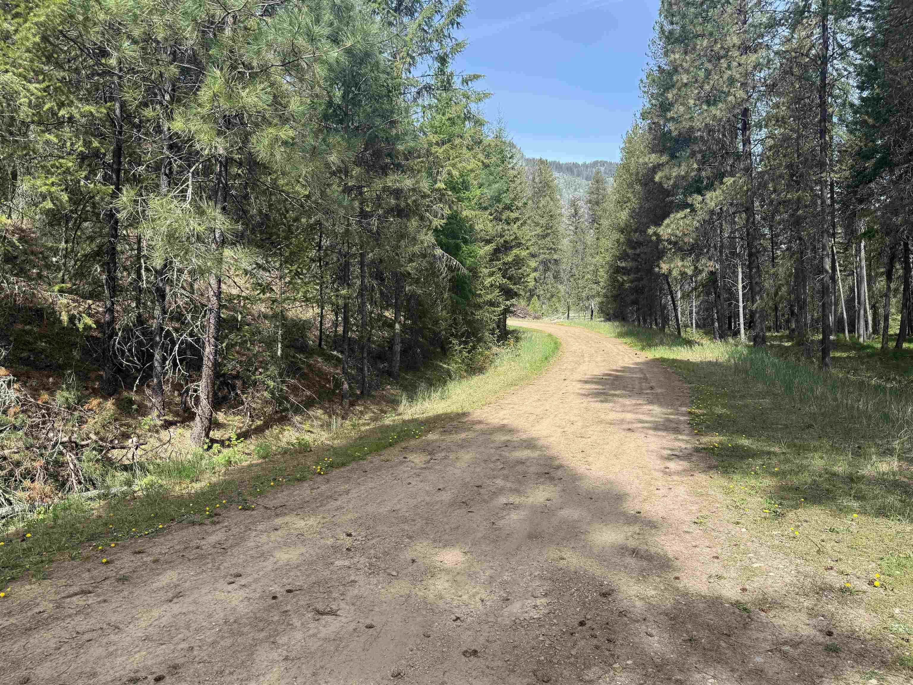 67 First Thought Loop - Photo 15