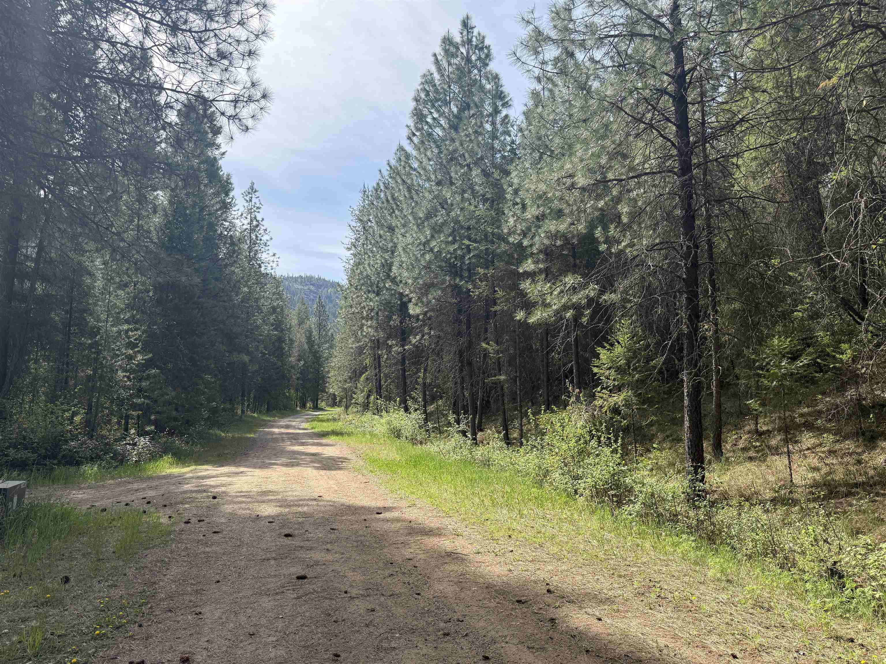 67 First Thought Loop - Photo 16