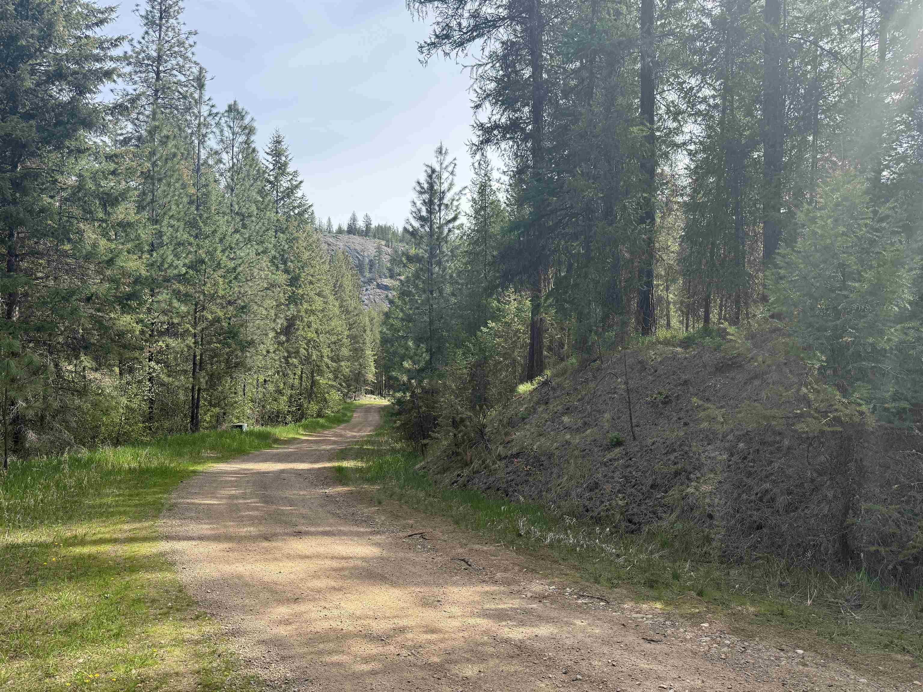 67 First Thought Loop - Photo 9