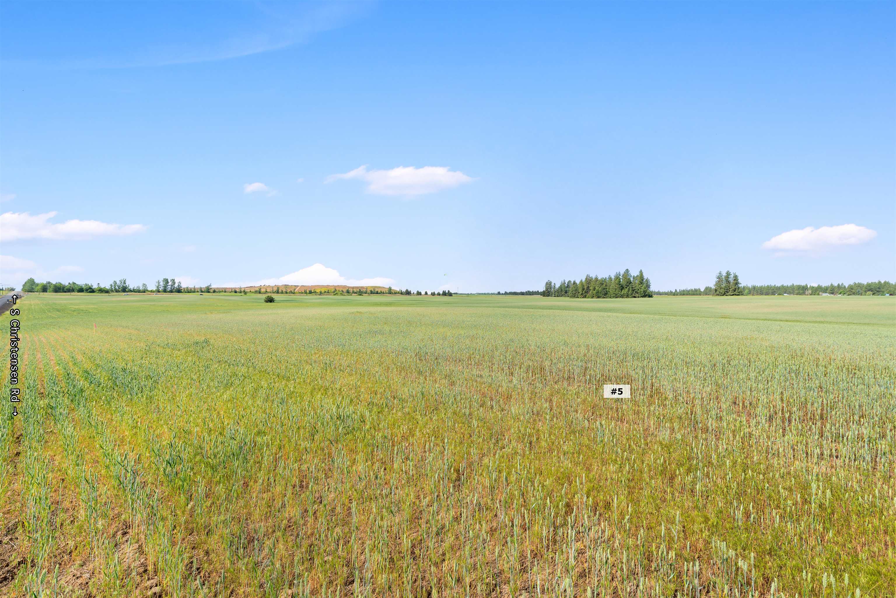 TBD S Christensen Lot 5 Rd - Photo 3
