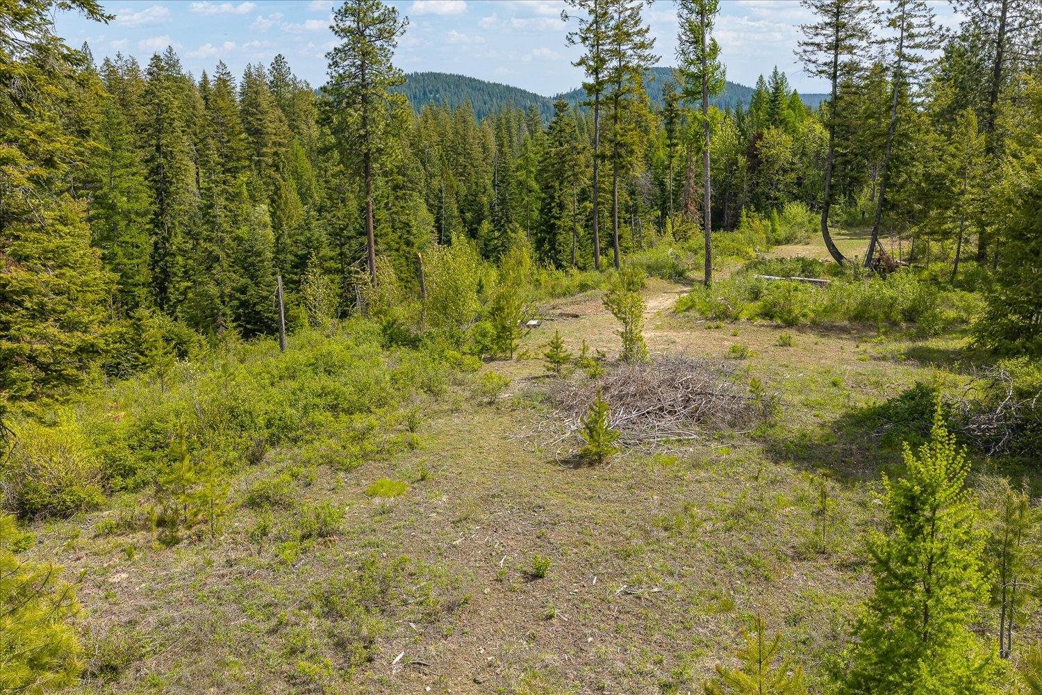 NNA N Jackson Rd - Photo 11