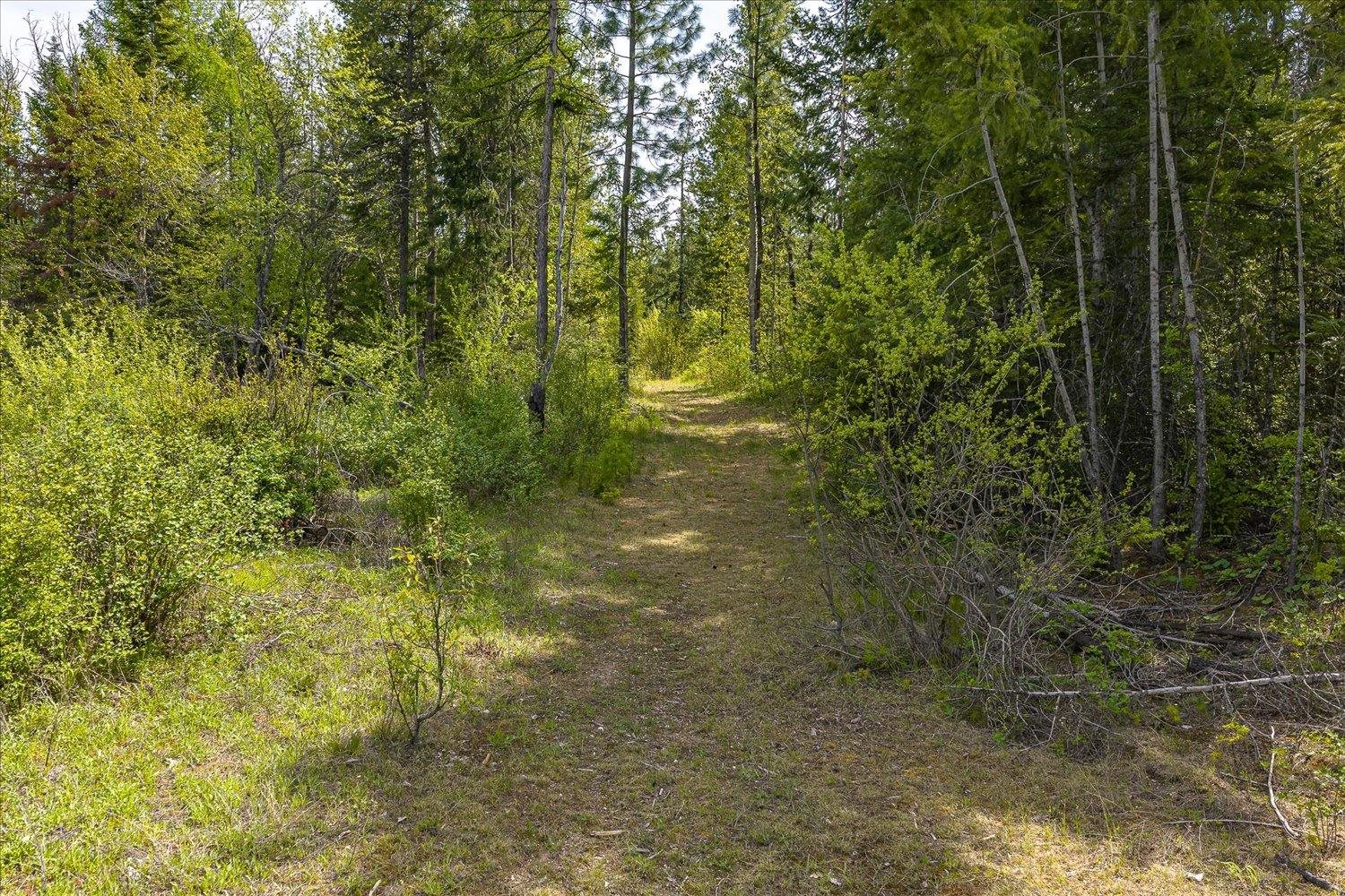 NNA N Jackson Rd - Photo 14