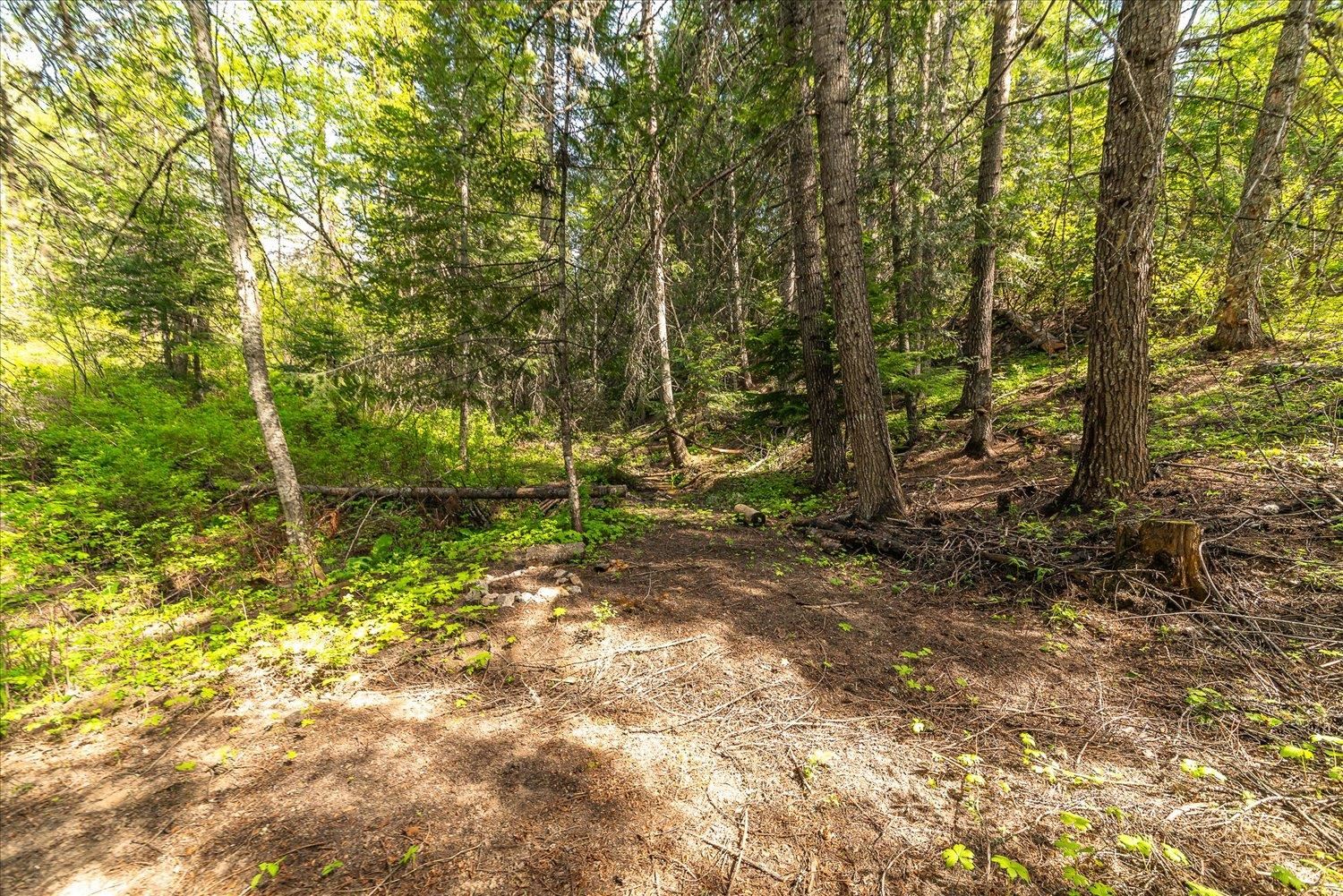 NNA N Jackson Rd - Photo 16