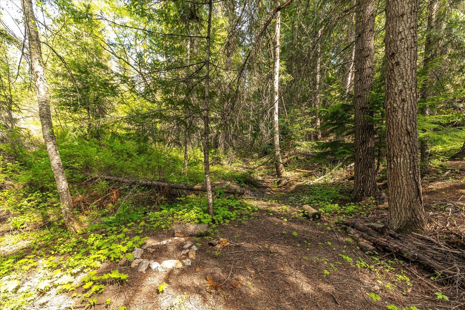 NNA N Jackson Rd - Photo 17