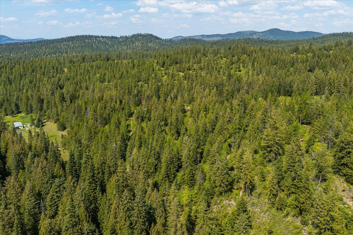 NNA N Jackson Rd - Photo 28