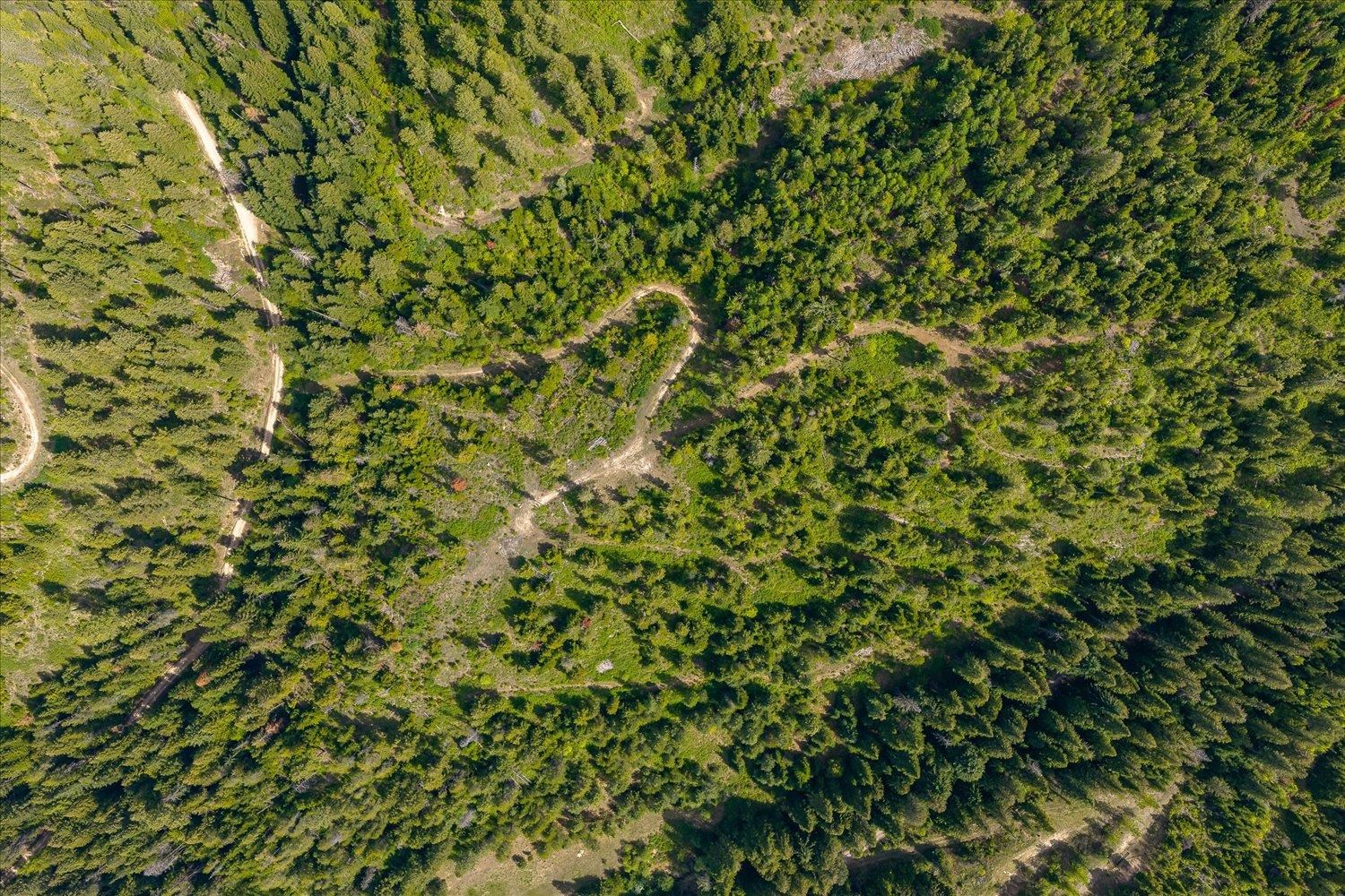 NNA N Jackson Rd - Photo 31