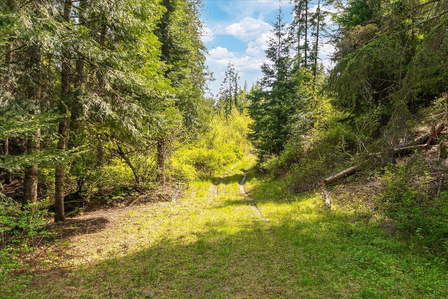 NNA N Jackson Rd - Photo 9