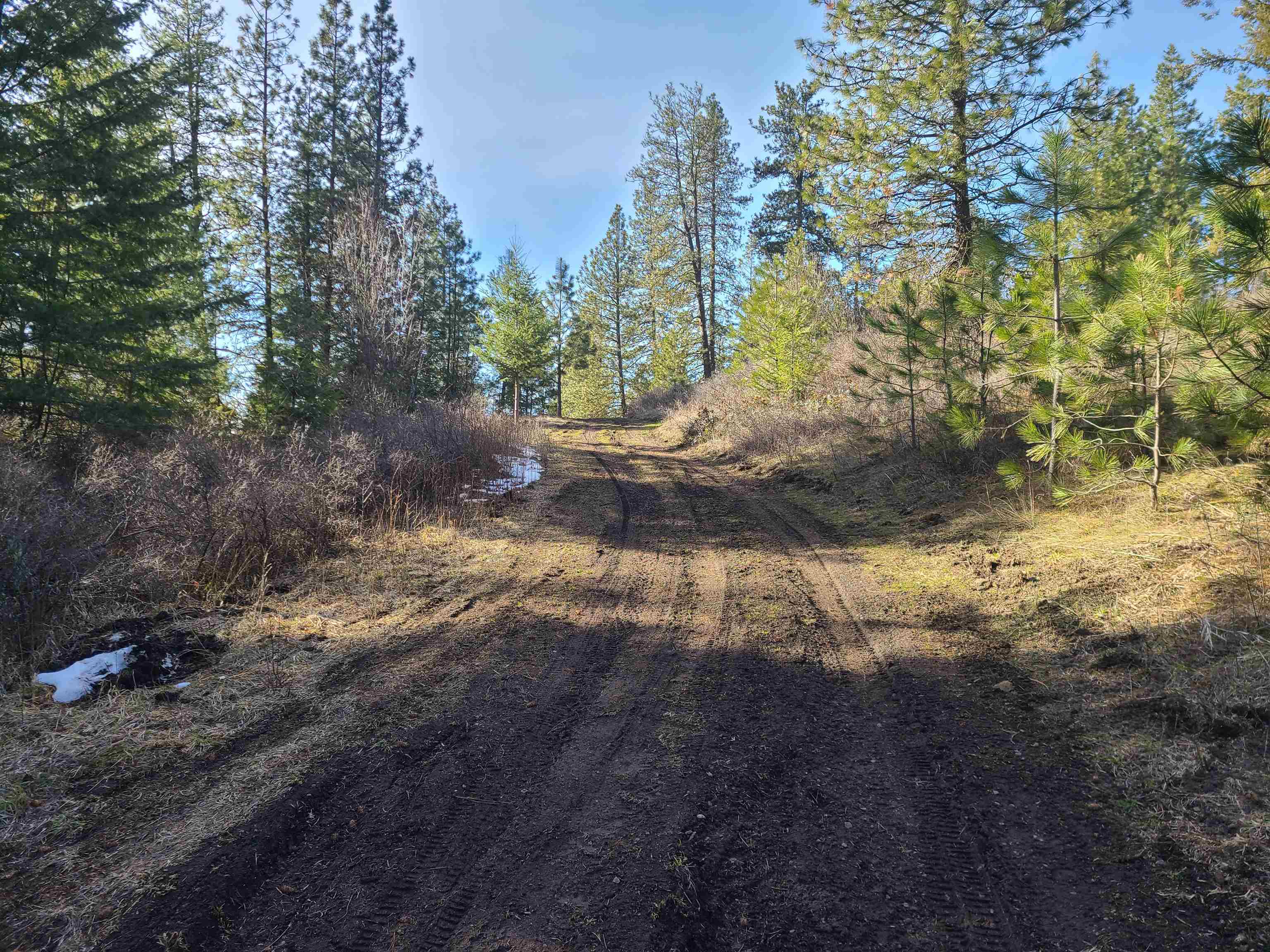2584-F Bridgeman Rettinger Rd - Photo 2