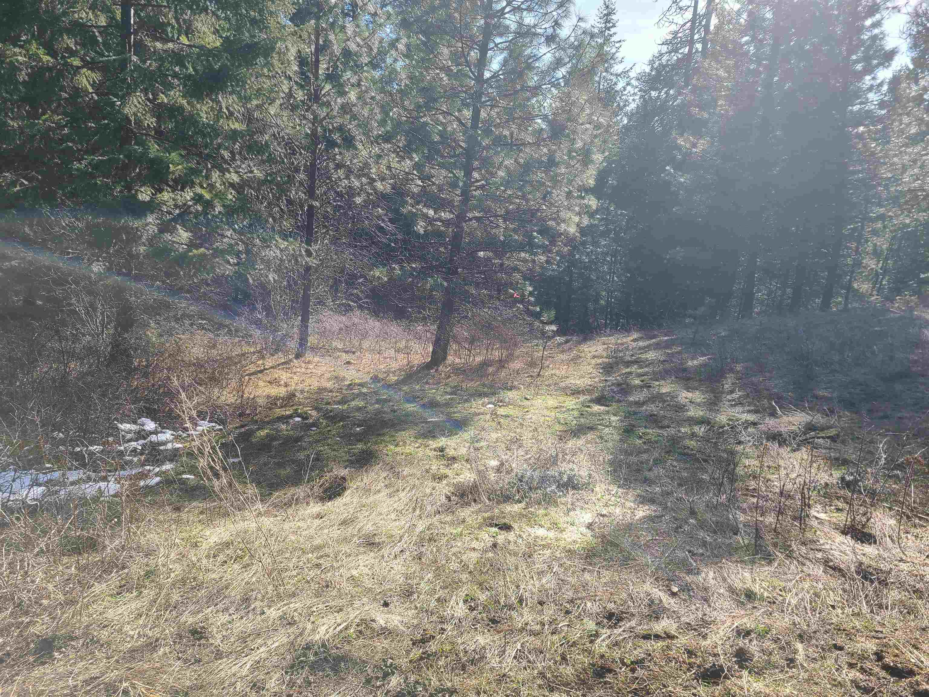 2584-F Bridgeman Rettinger Rd - Photo 11