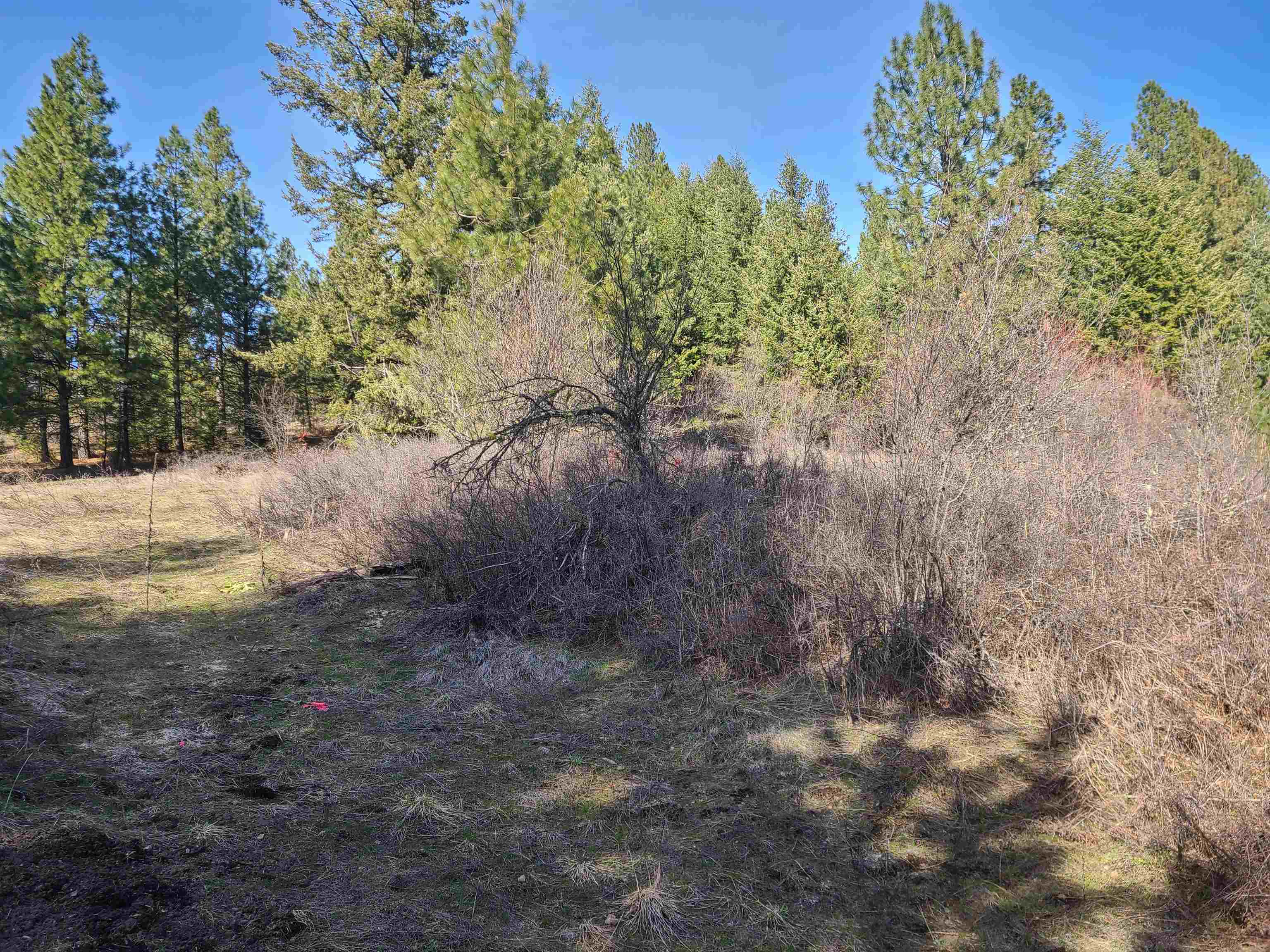 2584-F Bridgeman Rettinger Rd - Photo 12