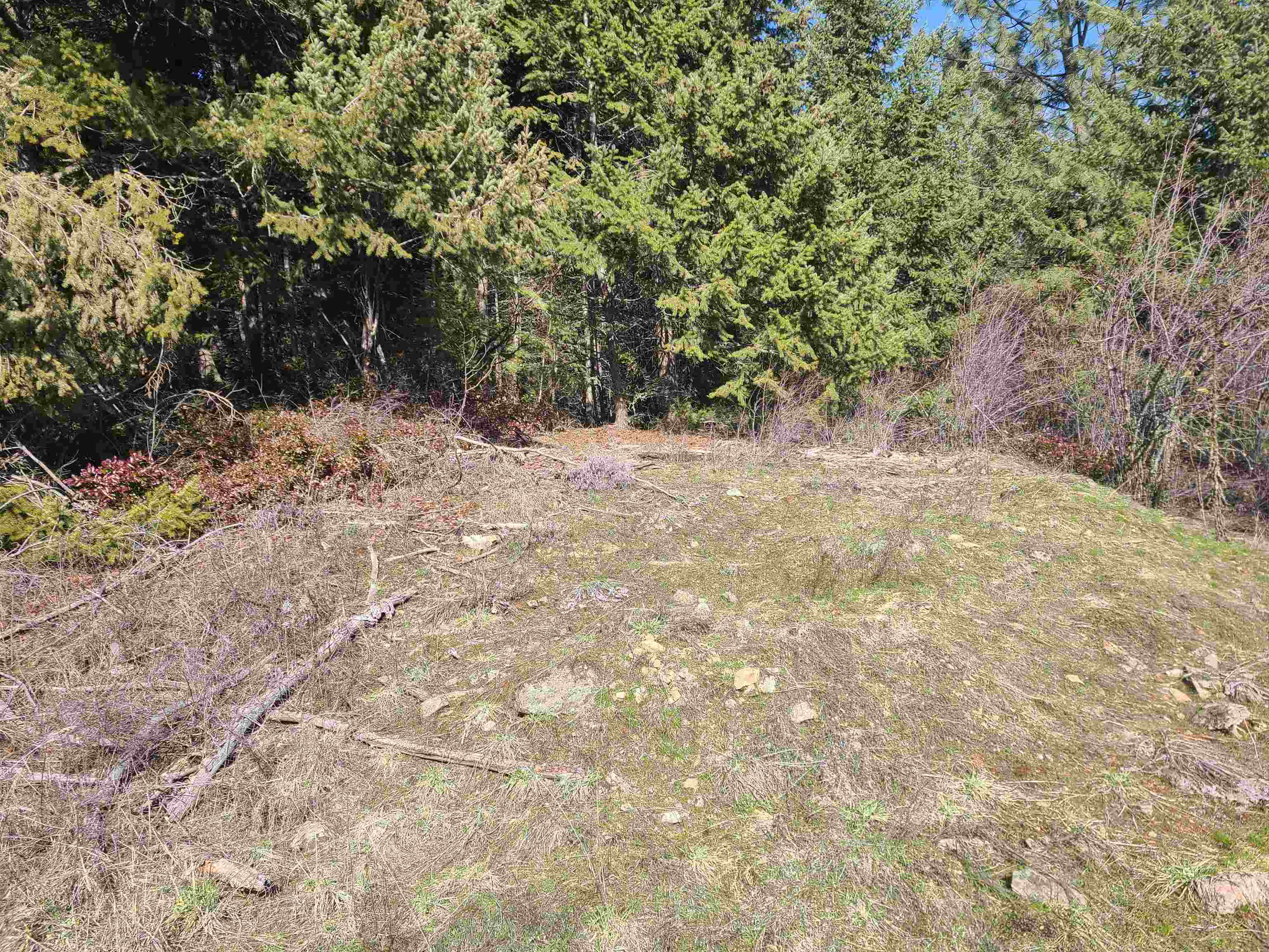 2584-F Bridgeman Rettinger Rd - Photo 13