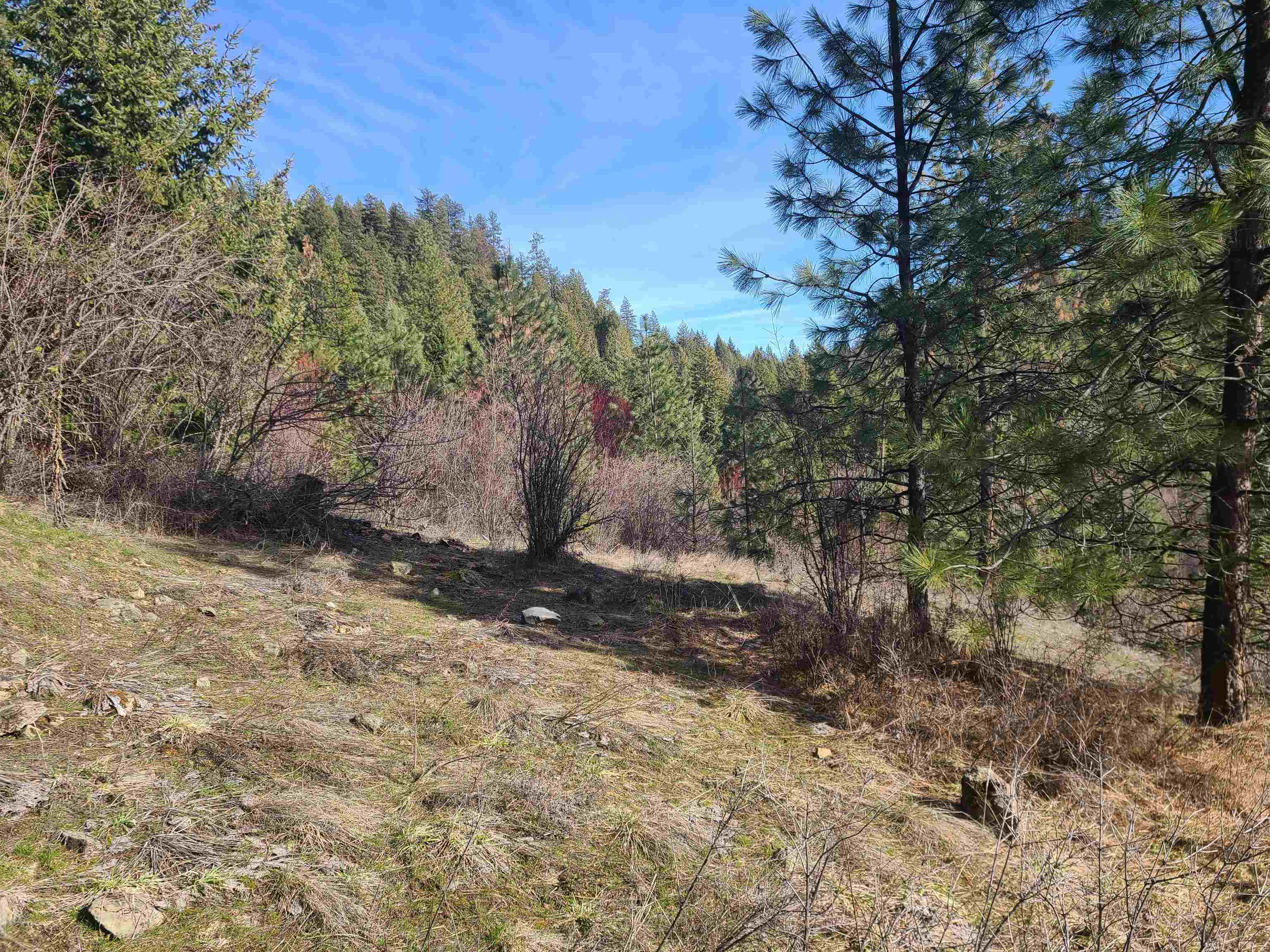 2584-F Bridgeman Rettinger Rd - Photo 14