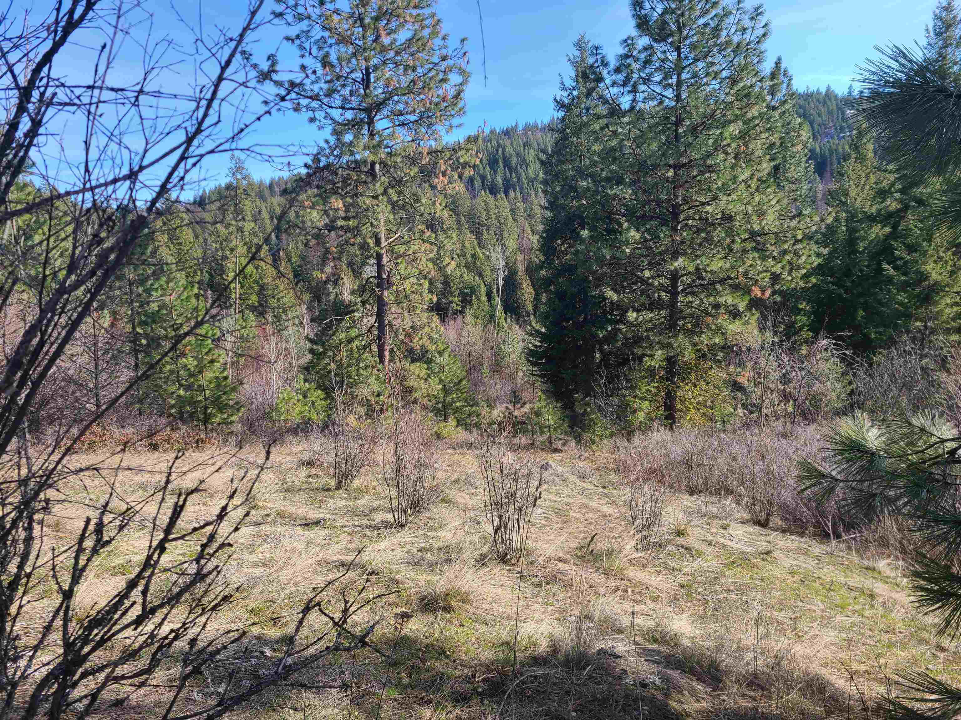 2584-F Bridgeman Rettinger Rd - Photo 15