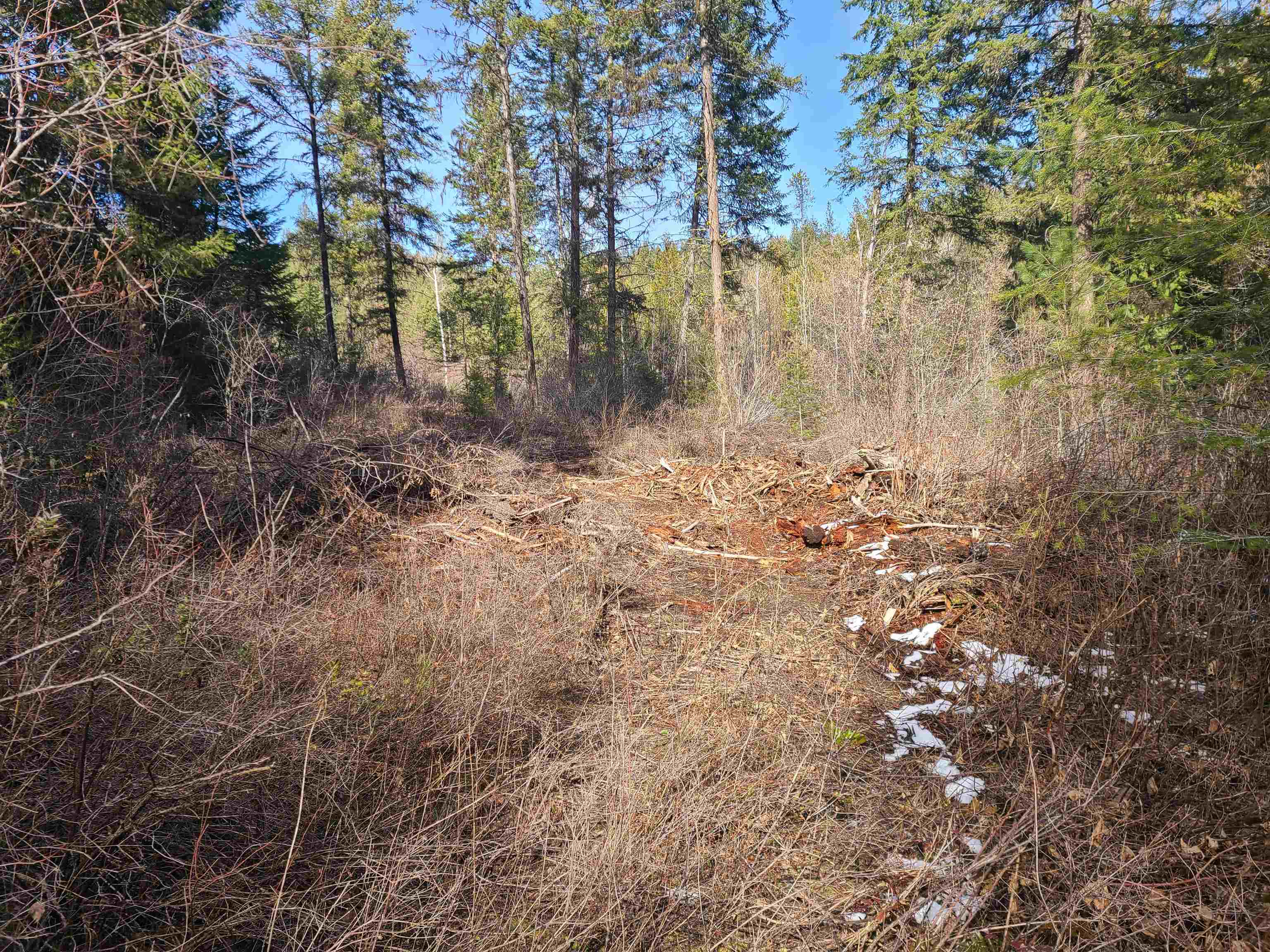 2584-F Bridgeman Rettinger Rd - Photo 16