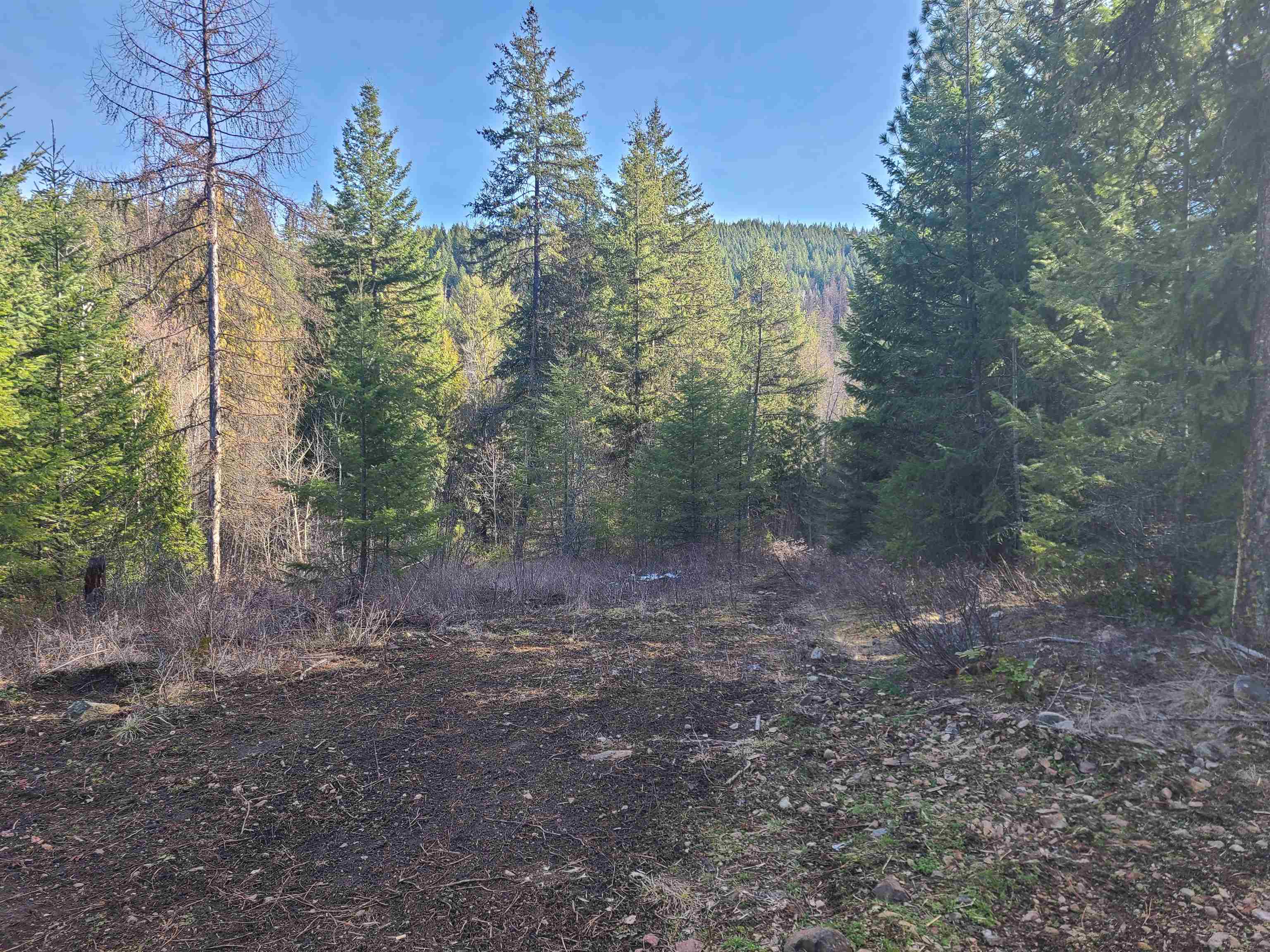 2584-F Bridgeman Rettinger Rd - Photo 18