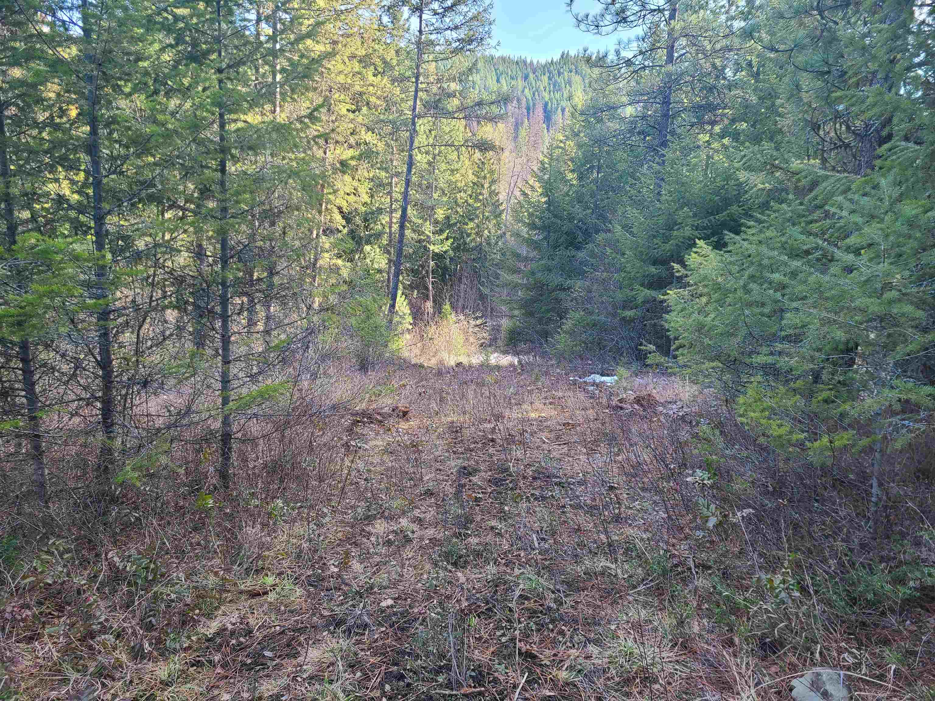 2584-F Bridgeman Rettinger Rd - Photo 20