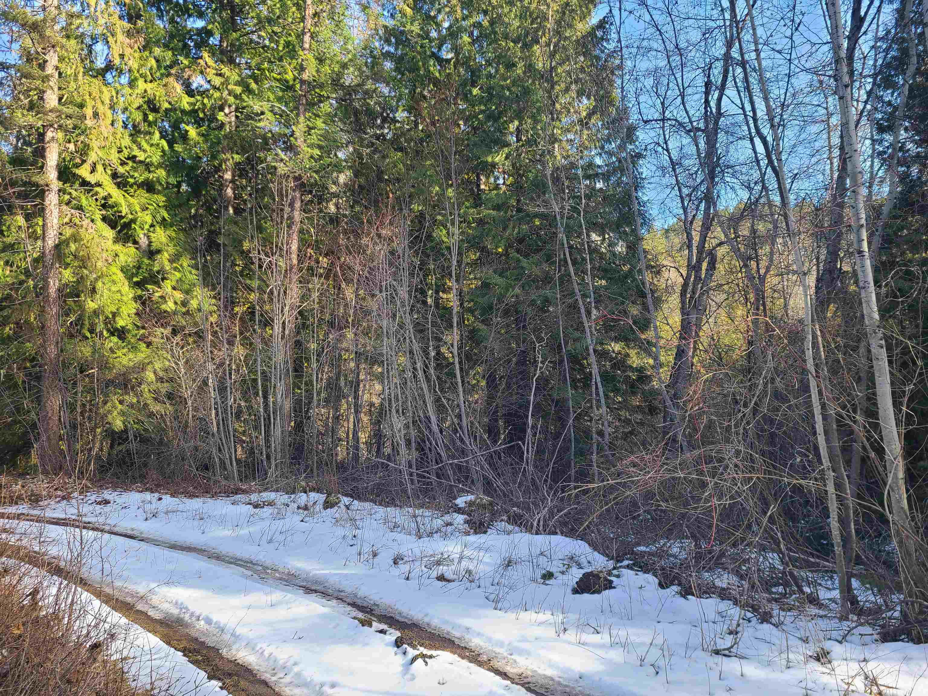 2584-F Bridgeman Rettinger Rd - Photo 4