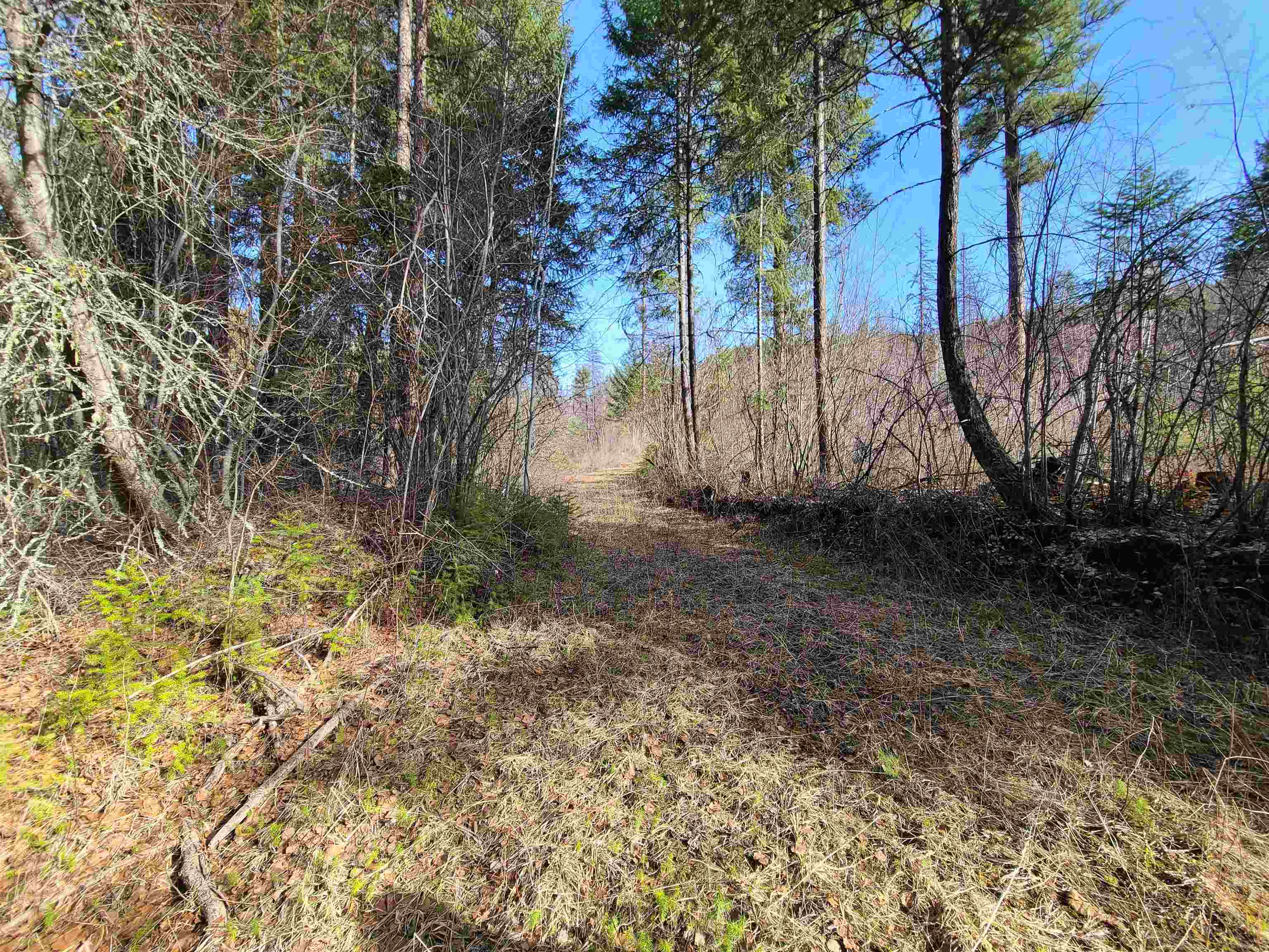 2584-F Bridgeman Rettinger Rd - Photo 5