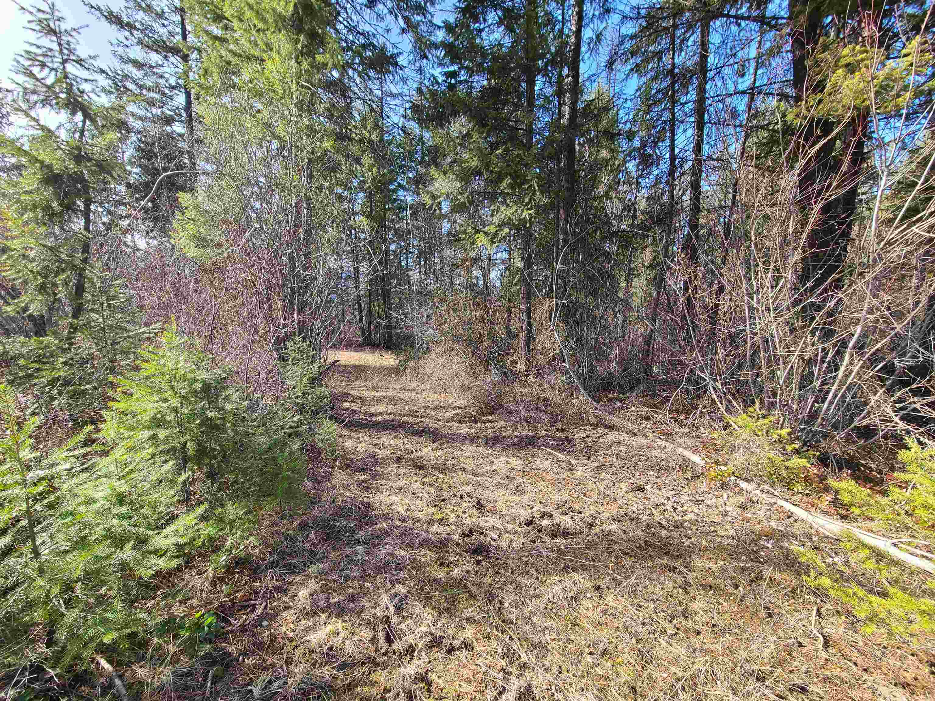 2584-F Bridgeman Rettinger Rd - Photo 6
