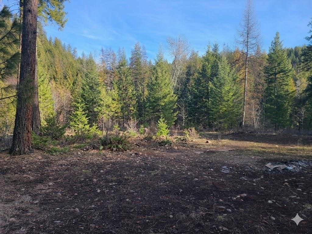 2584-F Bridgeman Rettinger Rd - Photo 8
