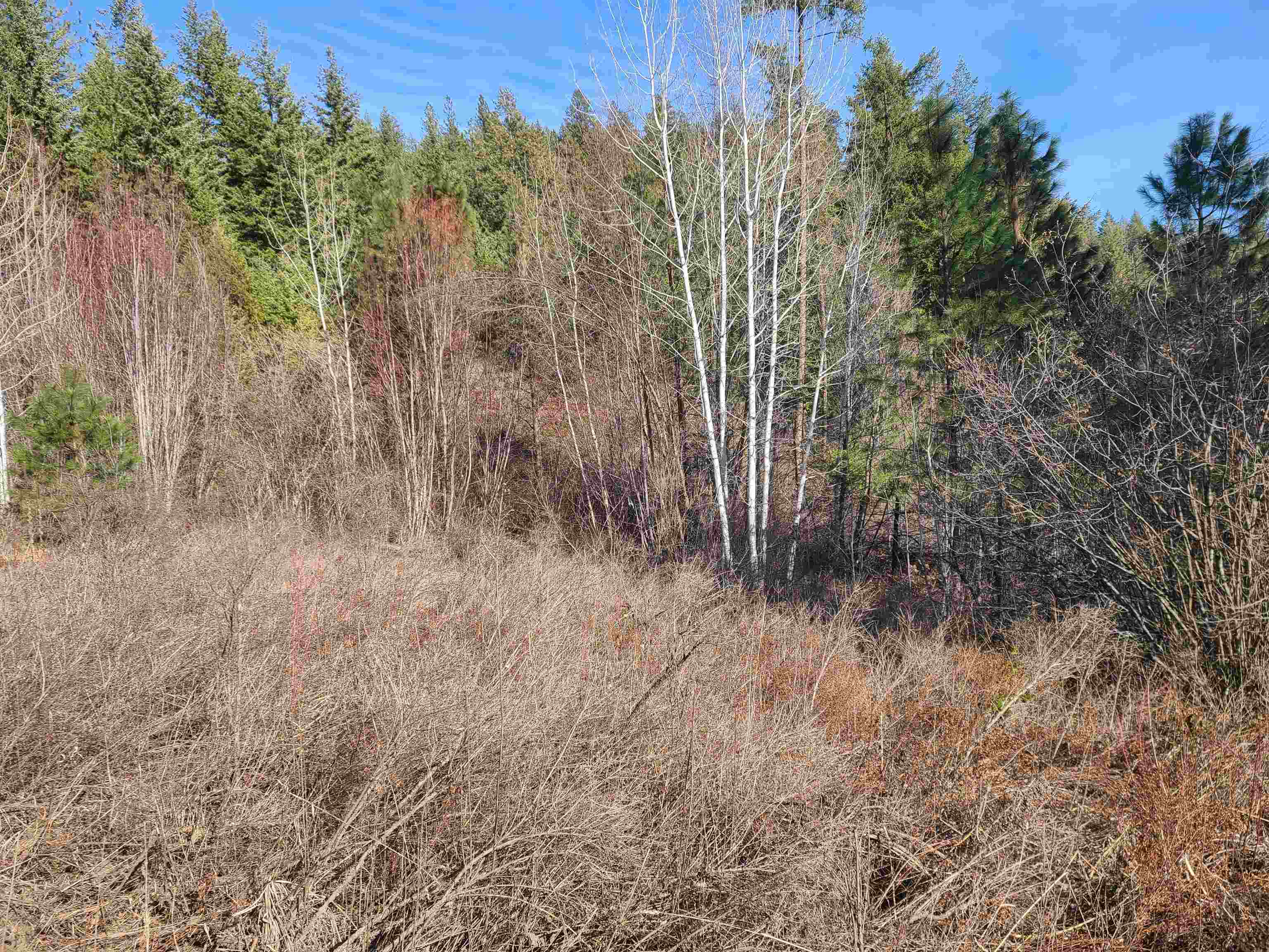 2584-F Bridgeman Rettinger Rd - Photo 10