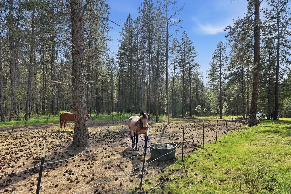 1020 W Owens Rd - Photo 42