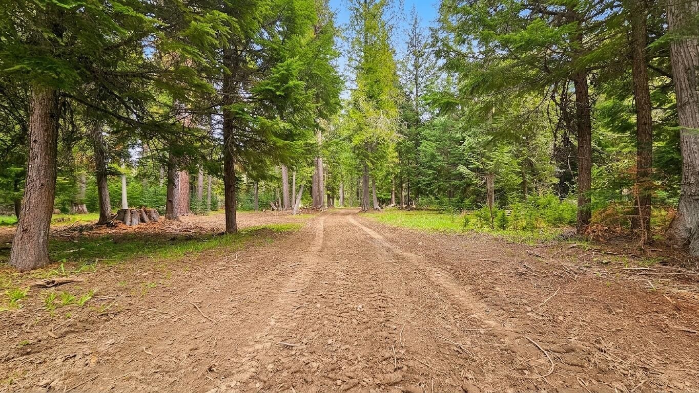 36xx Deep Lake Boundary Rd - Photo 12